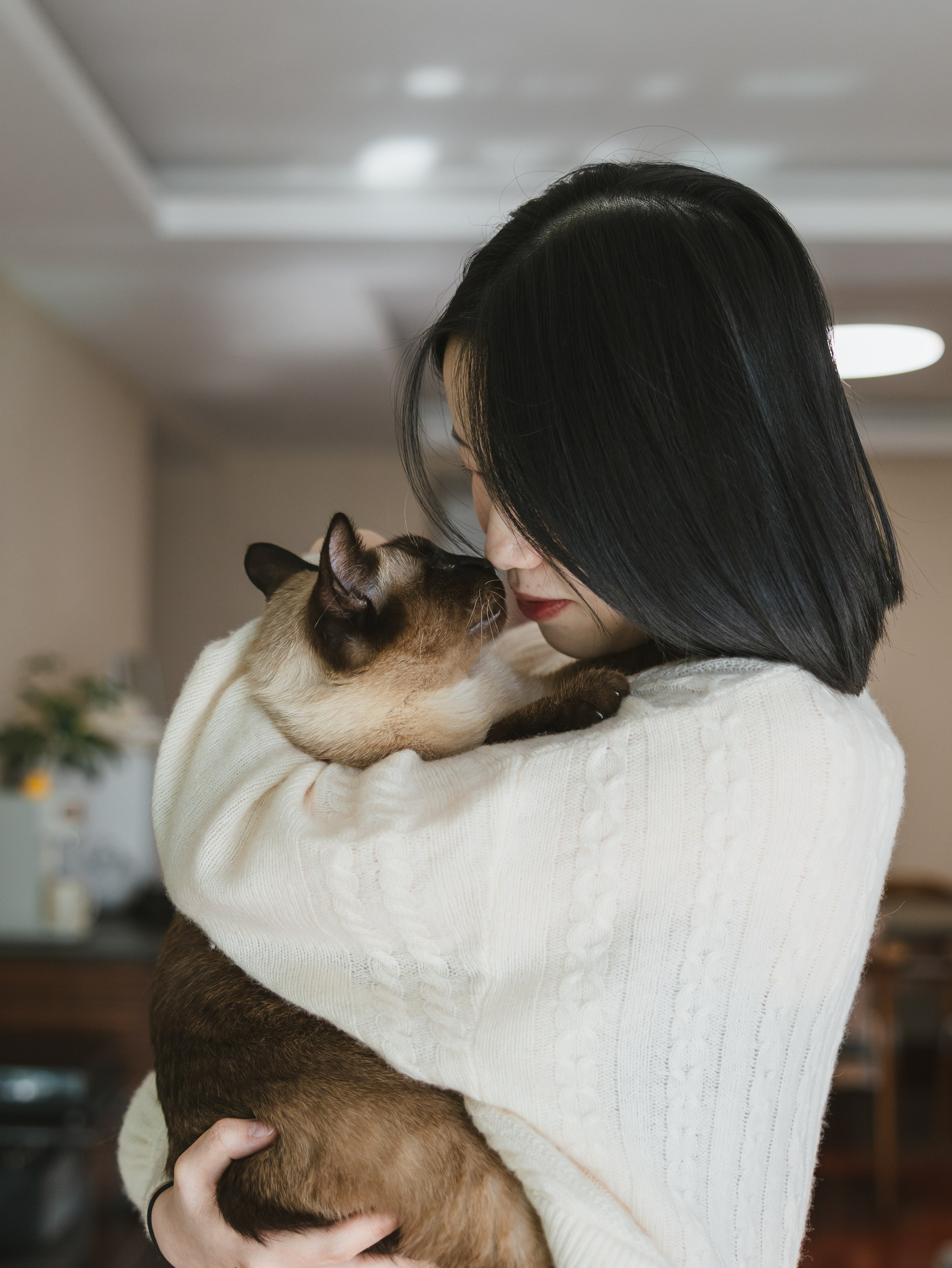 Photos of pets. Shanghai Family Photographer Dora