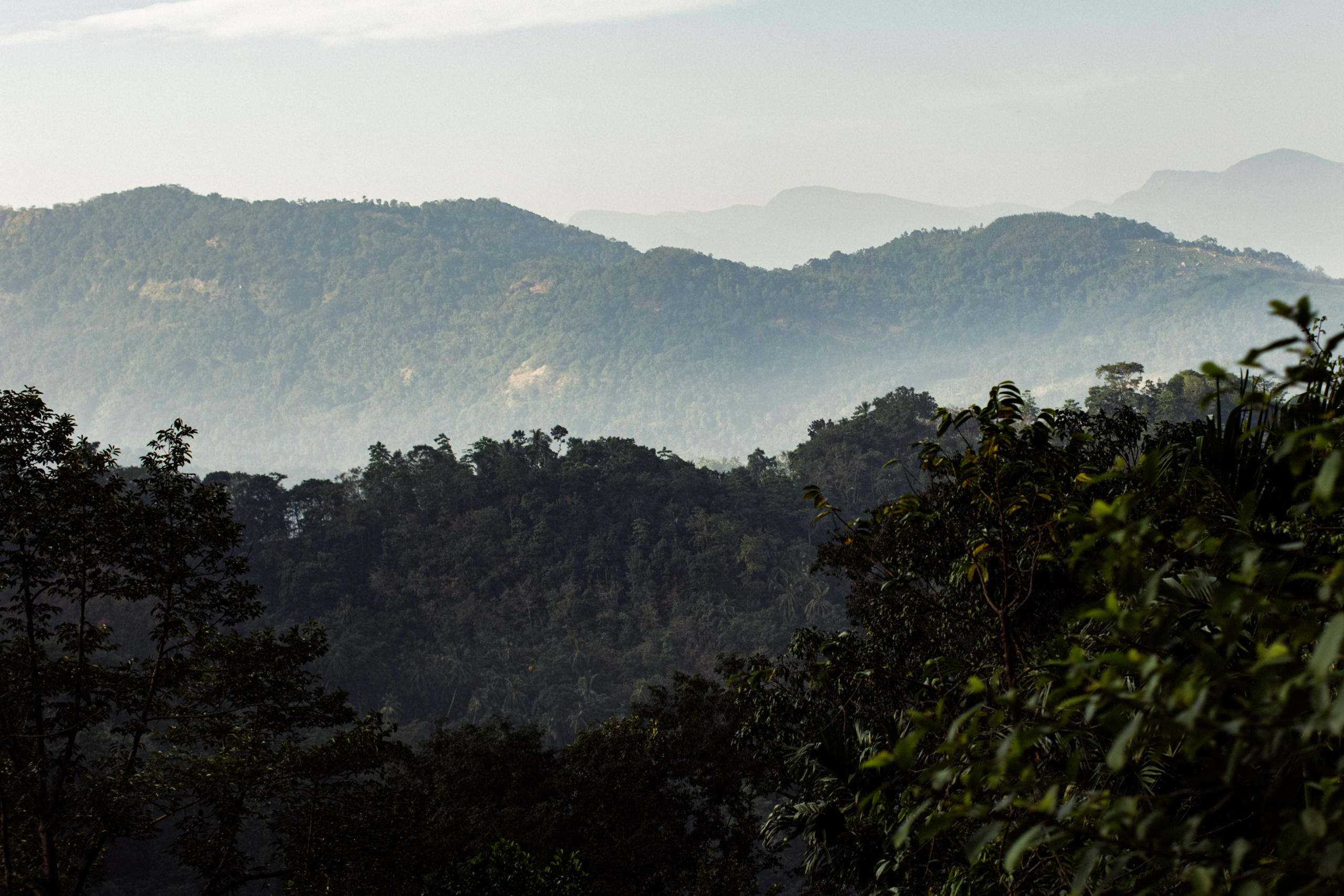 33. Фотограф Андрей Друк