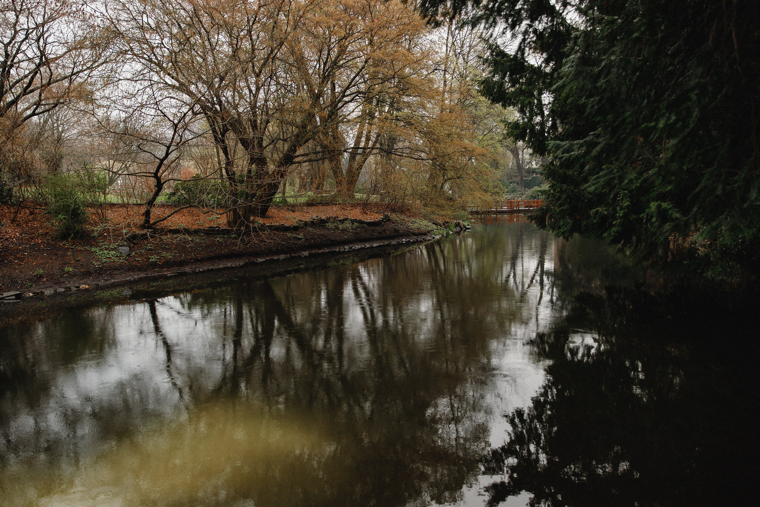 Botanical garden in Wroclaw. Kaja | fotograf we Wrocławiu | ludzie i psy