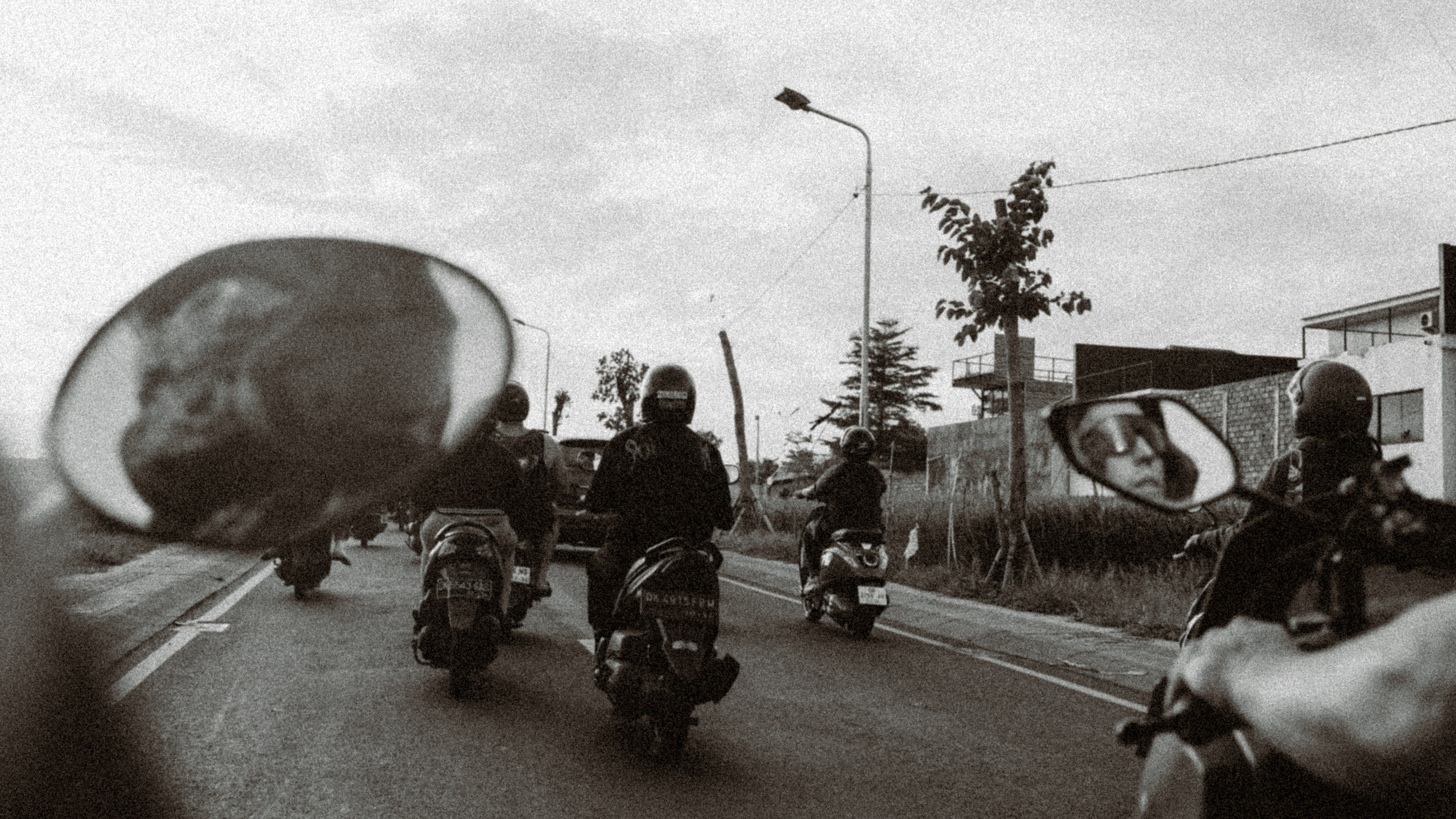 Roaming. Mike Avelli