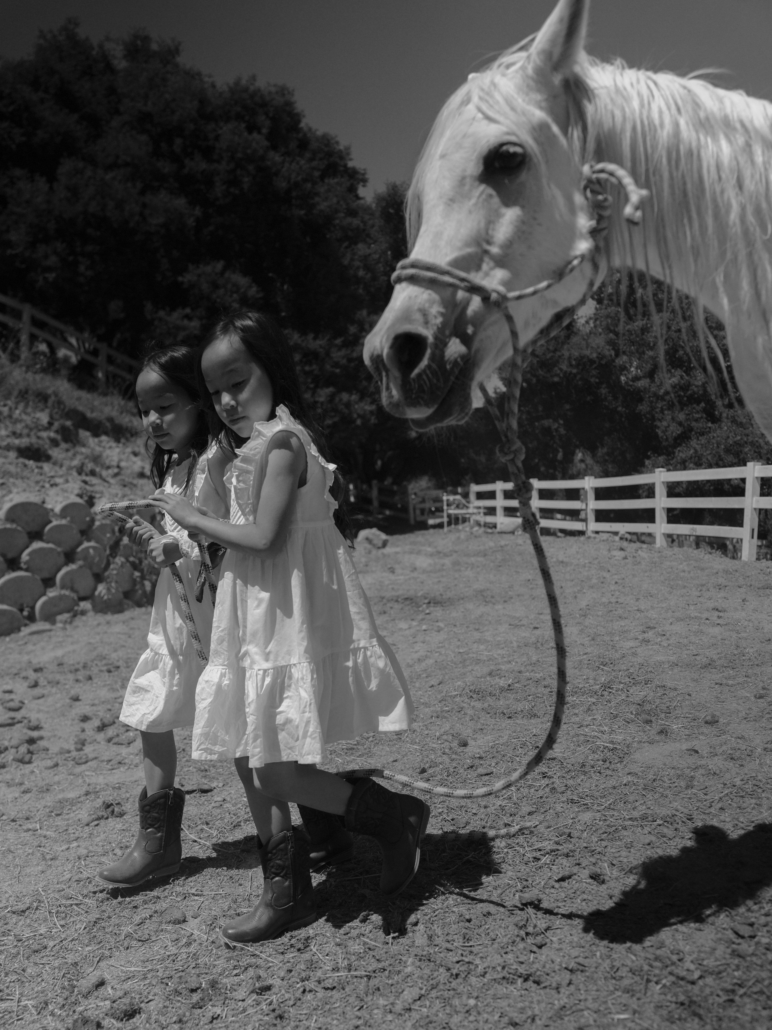 Children with horses. Фотограф и видеограф в США (и по всему миру) — Татьяна Иванова
