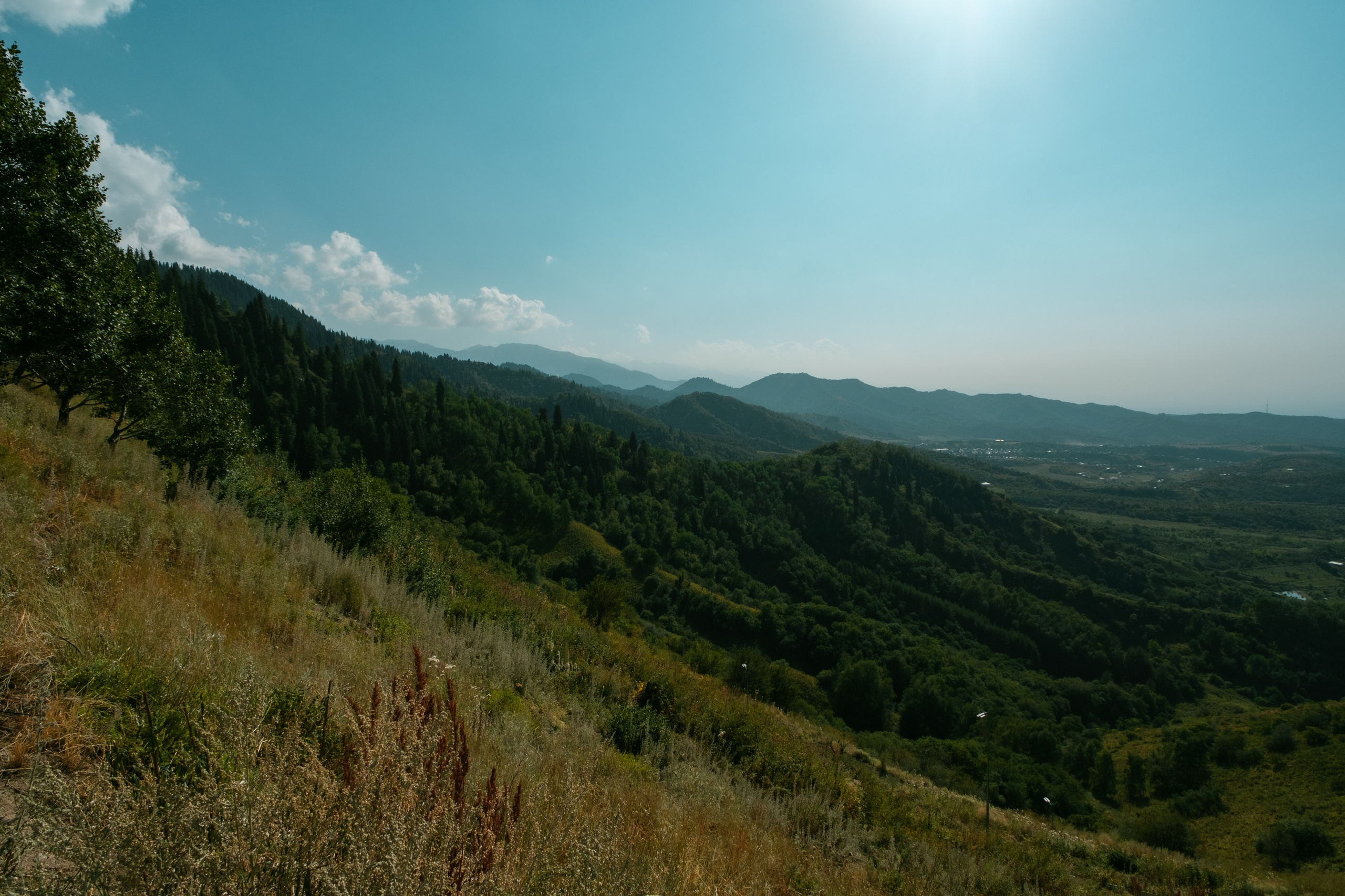 Sigma 12 mm F/1.4 DC DN Contemporary. Фотограф Григорий Кравец