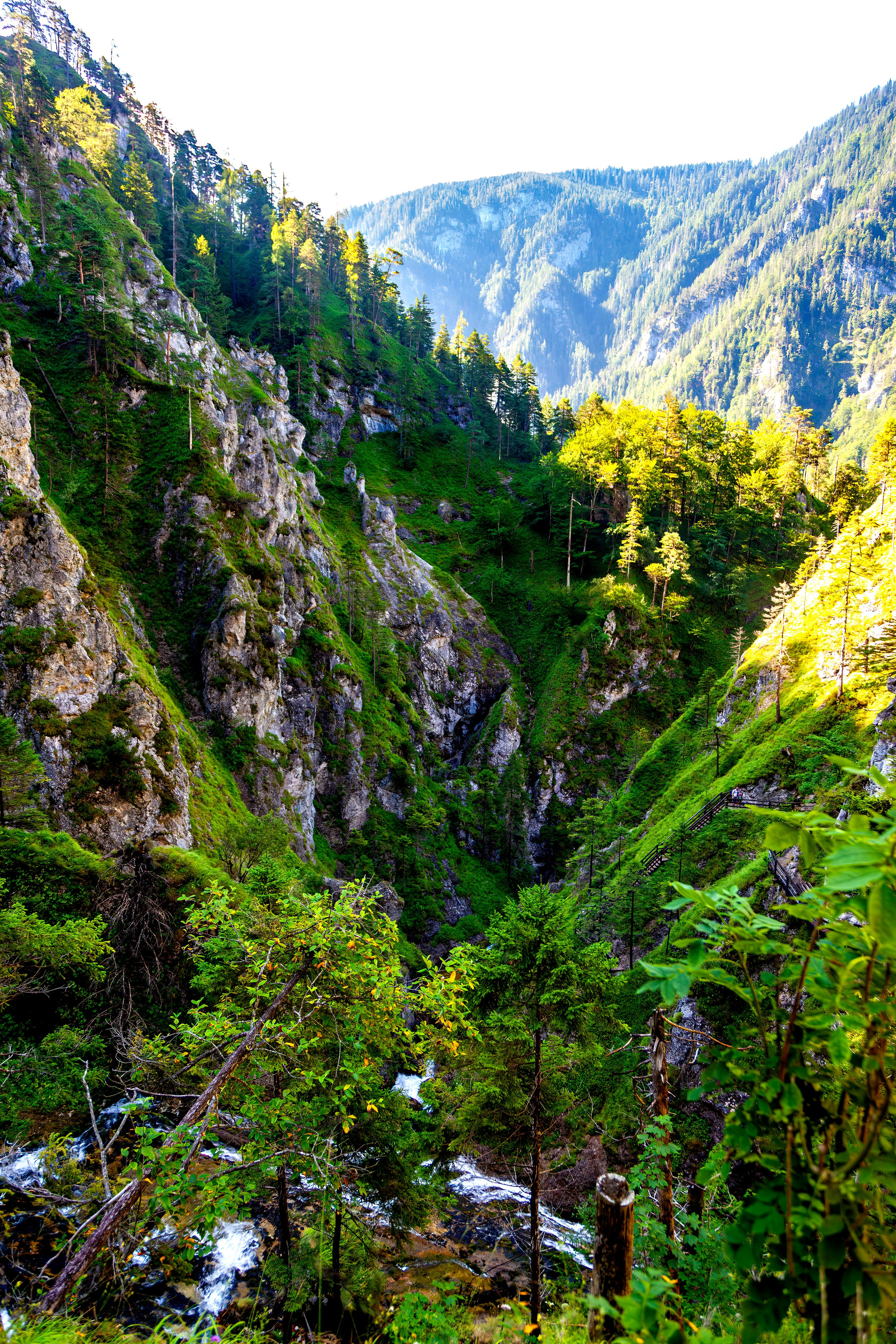 193.Wasserloch Klamm.Palfau.18.8.2025. Путешествия в формате 360......