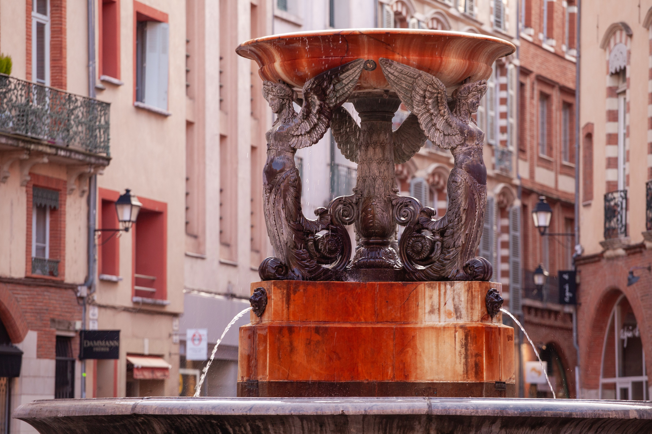 Toulouse. Eugénie Smirnova — your photographer in Toulouse and southwest France