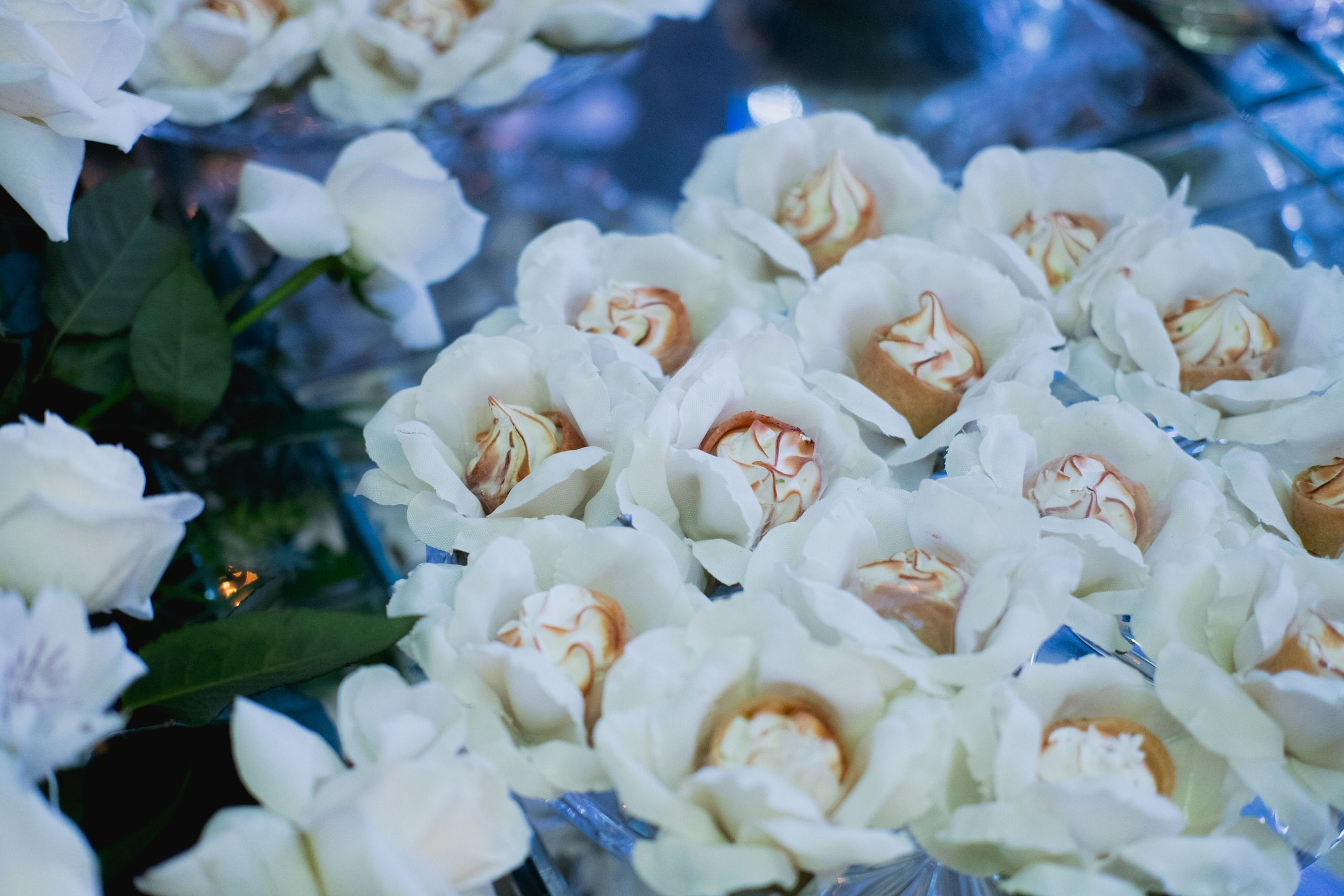 Giovana e leonardo. Fabio Barth | Foto e Filme de casamento
