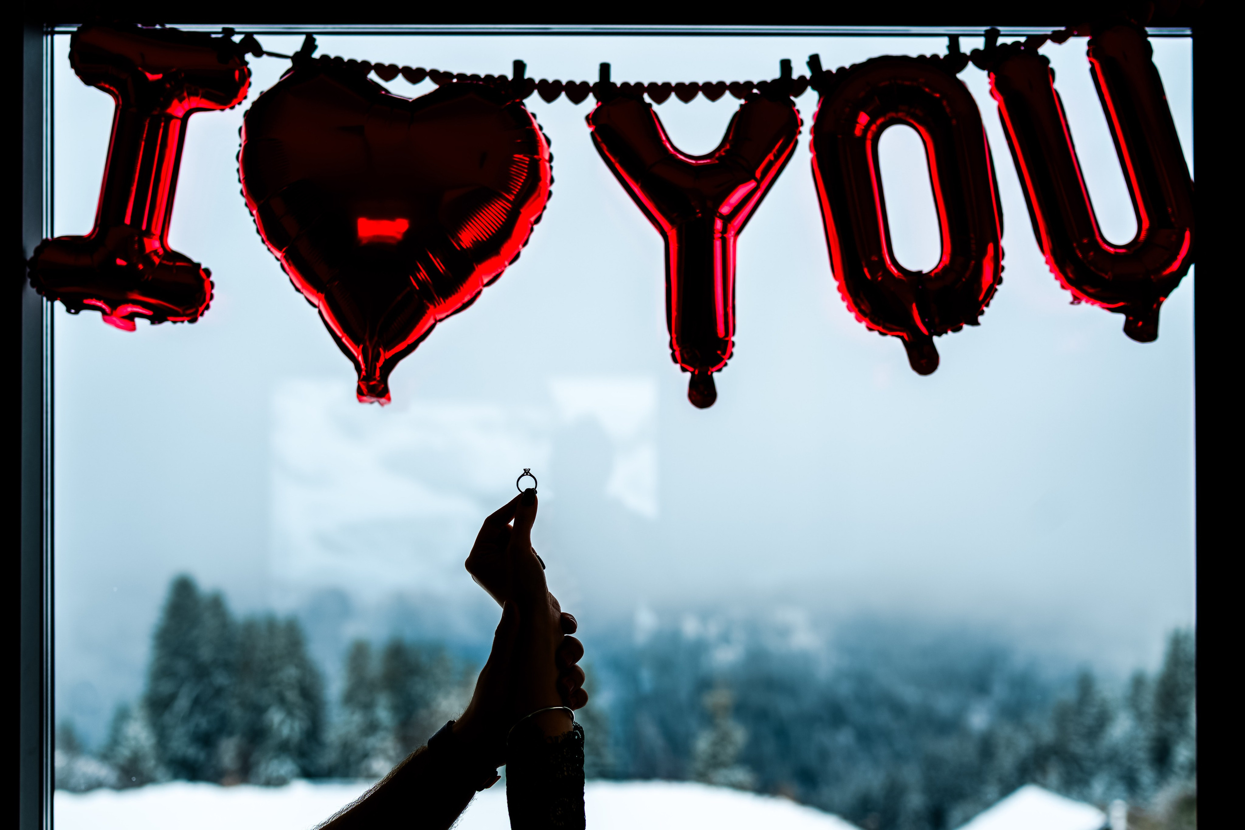 Dennis & Denisa - Proposal. Erik Bagy | Fotograf de Nuntă