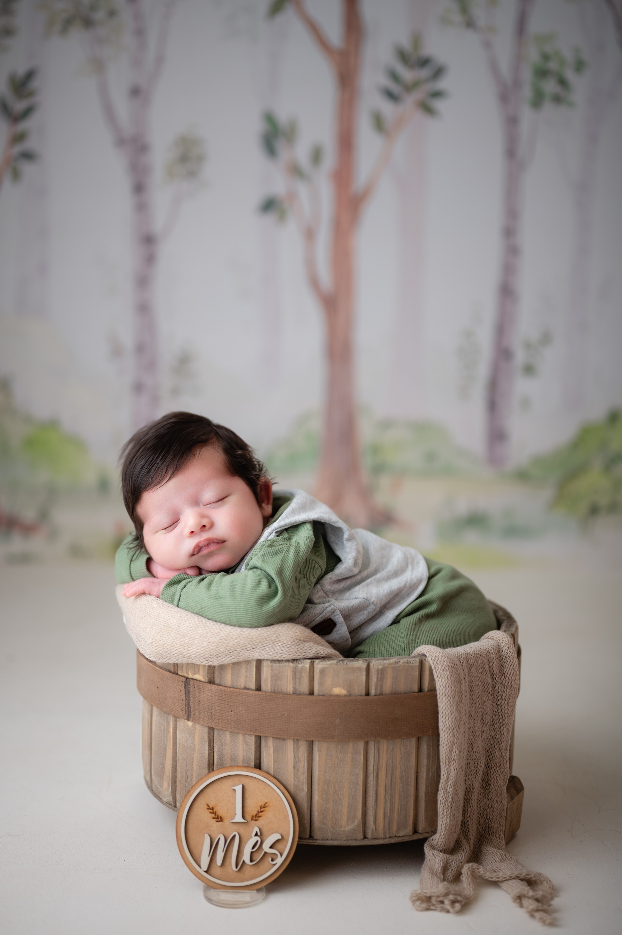 Acompanhamentos. Fotografamos famílias, gestantes, bebês e ensaios individuais