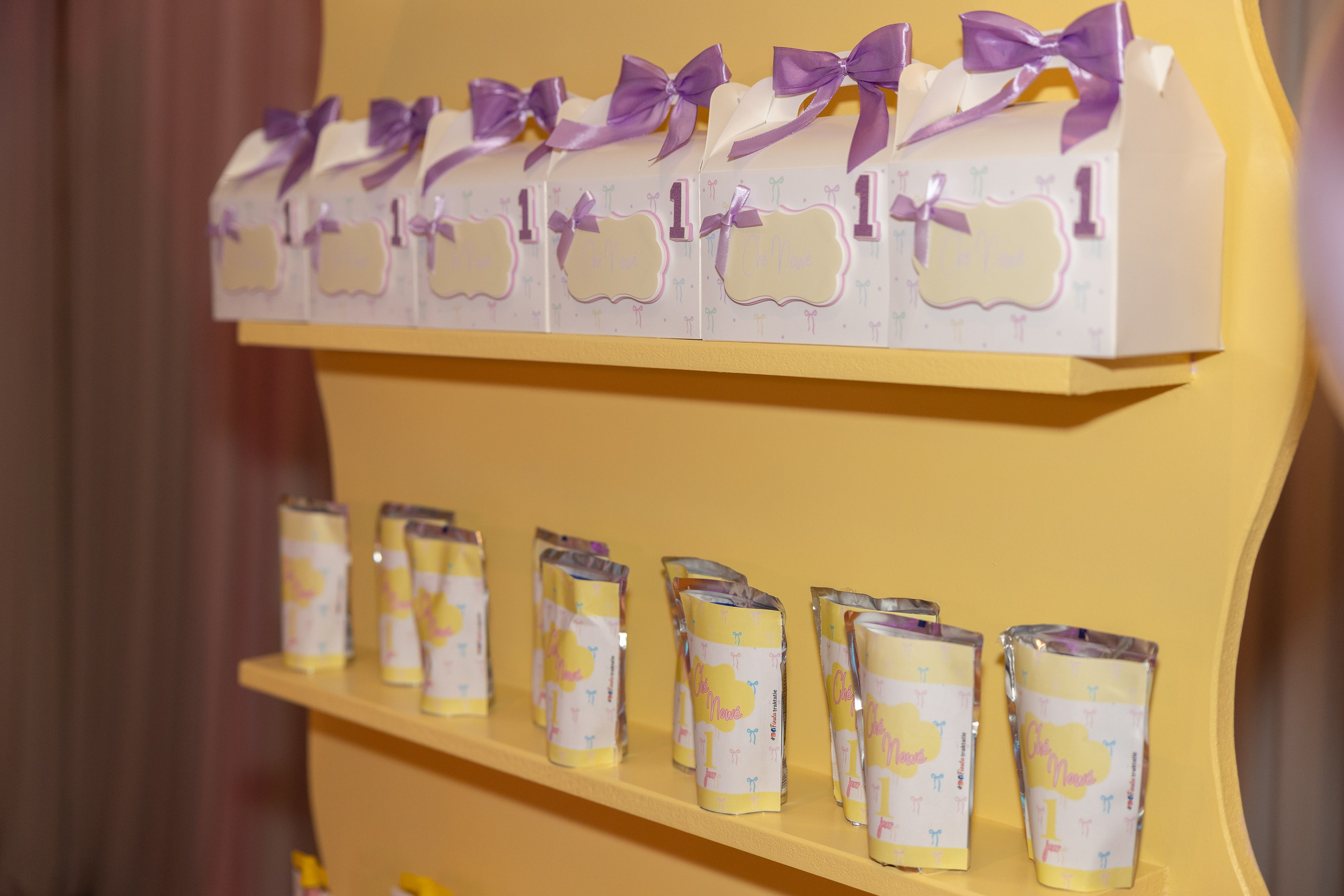 1 st Birthday. Portrait and Family Photographer in Netherlands