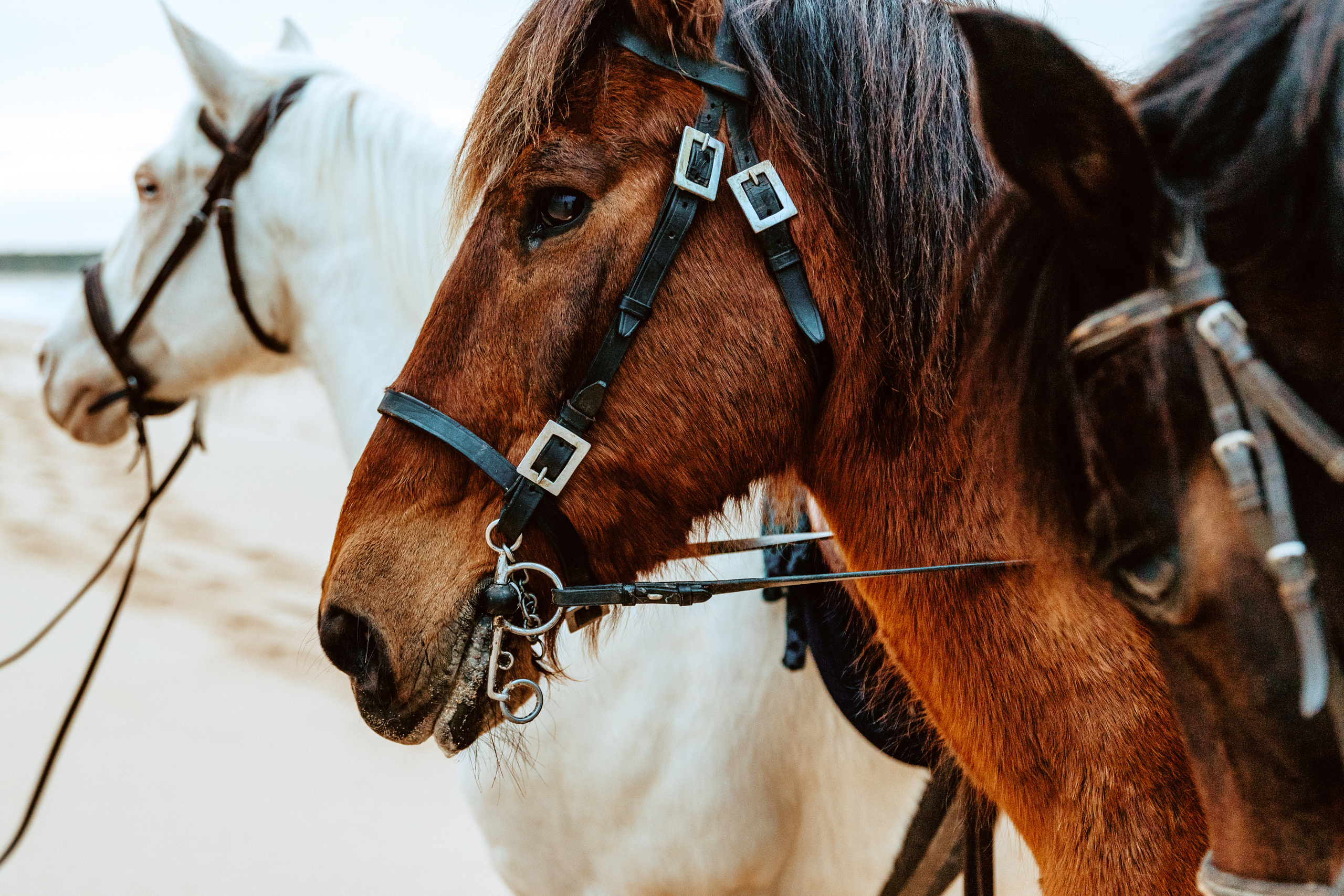 Sessão Fotografica Pré Casamento. Fotografia e Filmes de Casamento de Luxo | Portugal & Destination Weddings | Ricardo & Mary Pictures