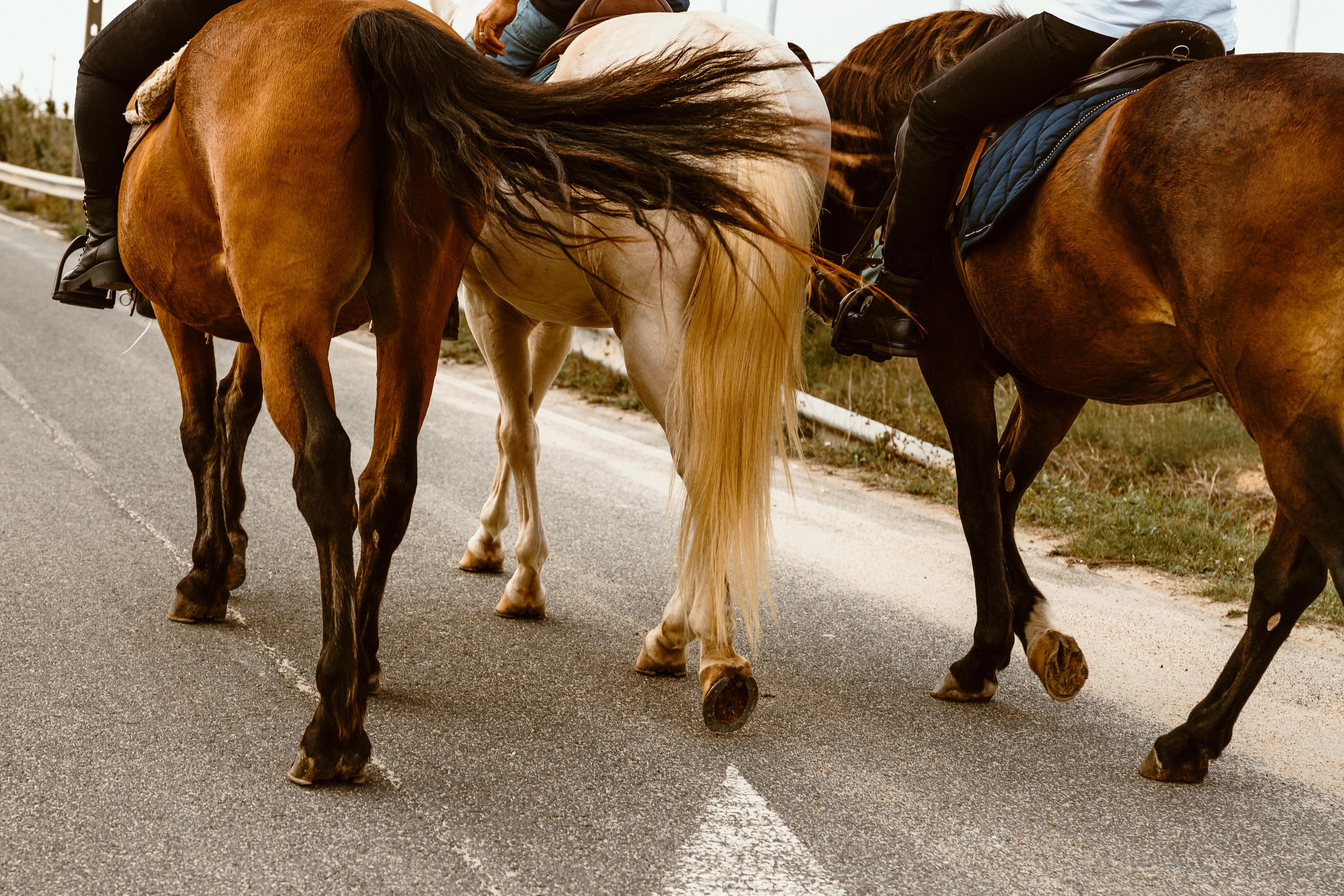 Momento a Dois em Peniche. Fotografia & Filmes de Casamentos | Portugal & Mundo | Ricardo & Mary