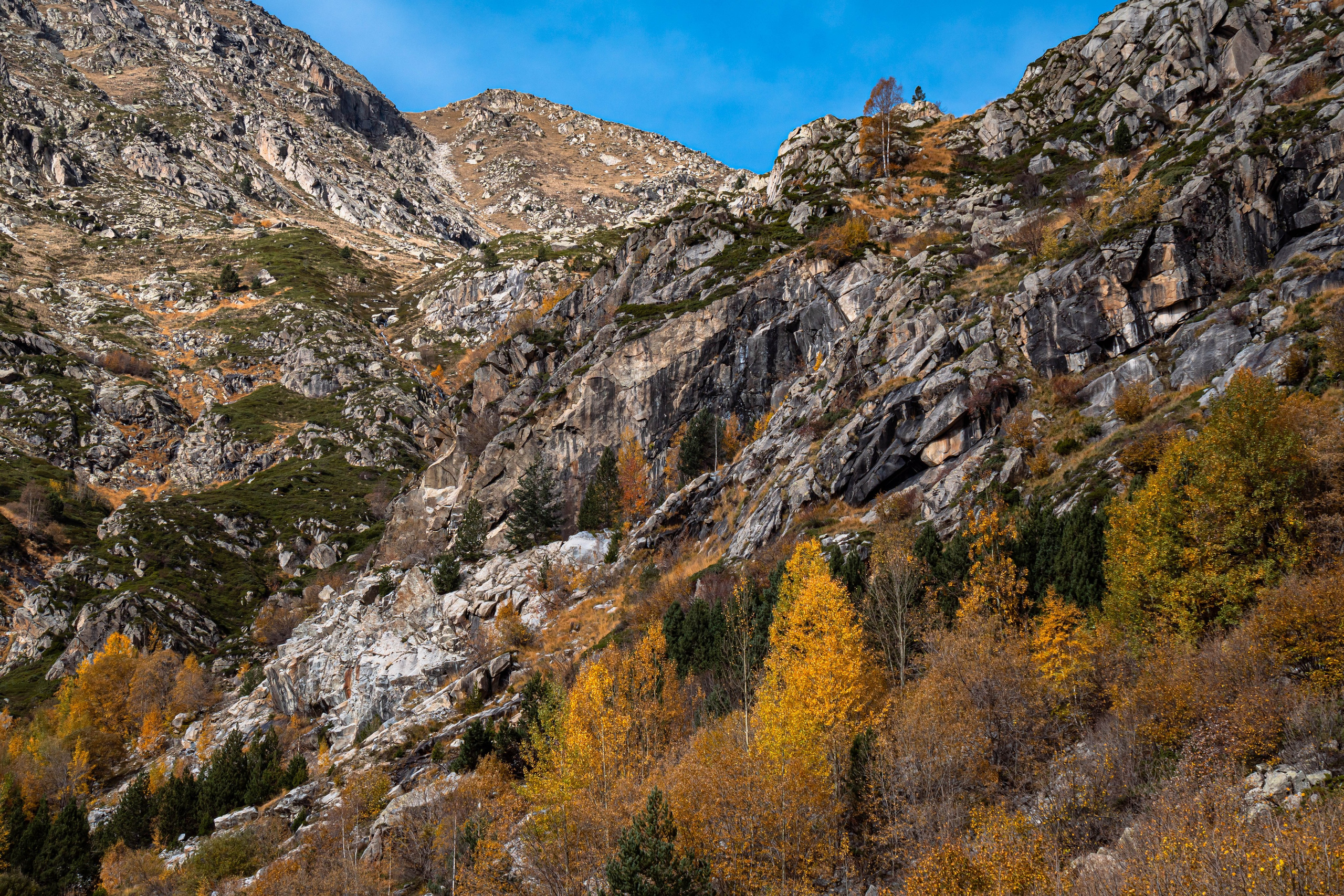 Vall Fosca en otoño. Alba del Norte Studio