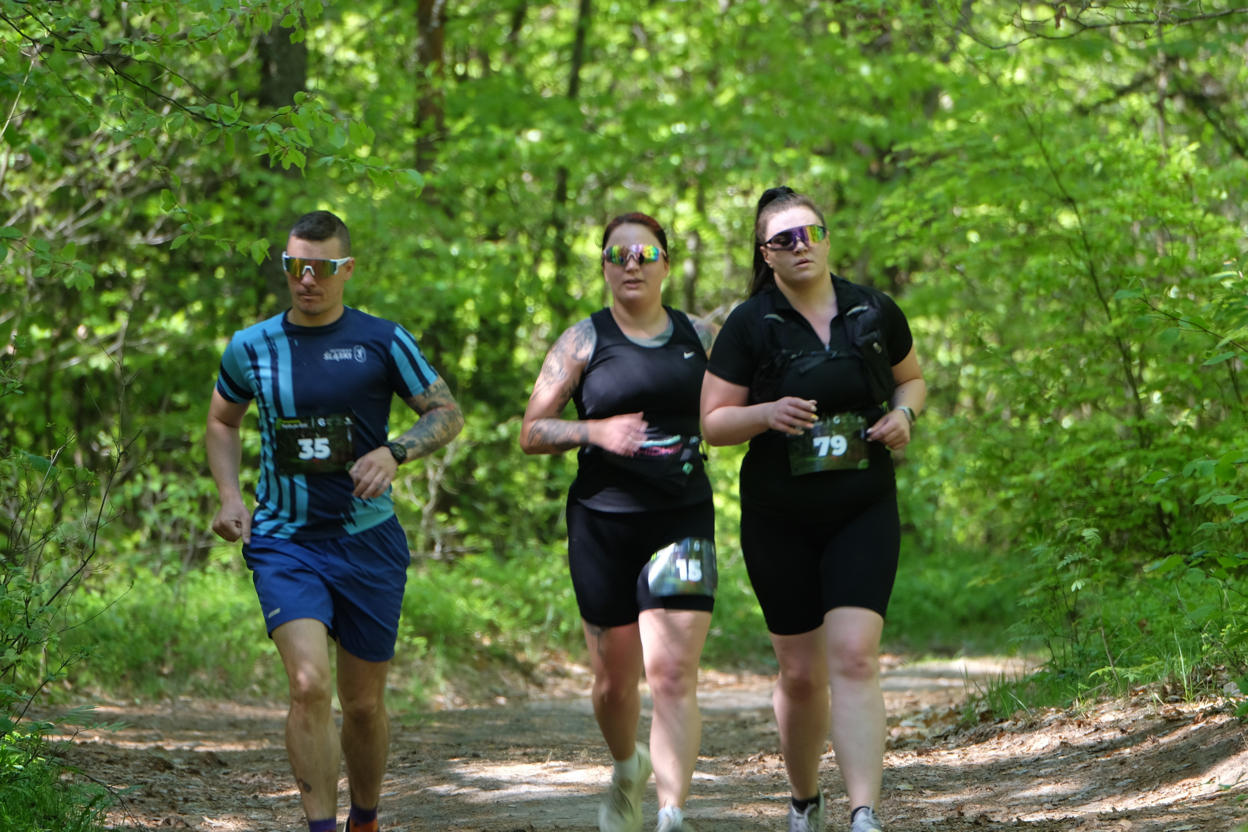 Aleksandryjska Piątka po lesie. Main