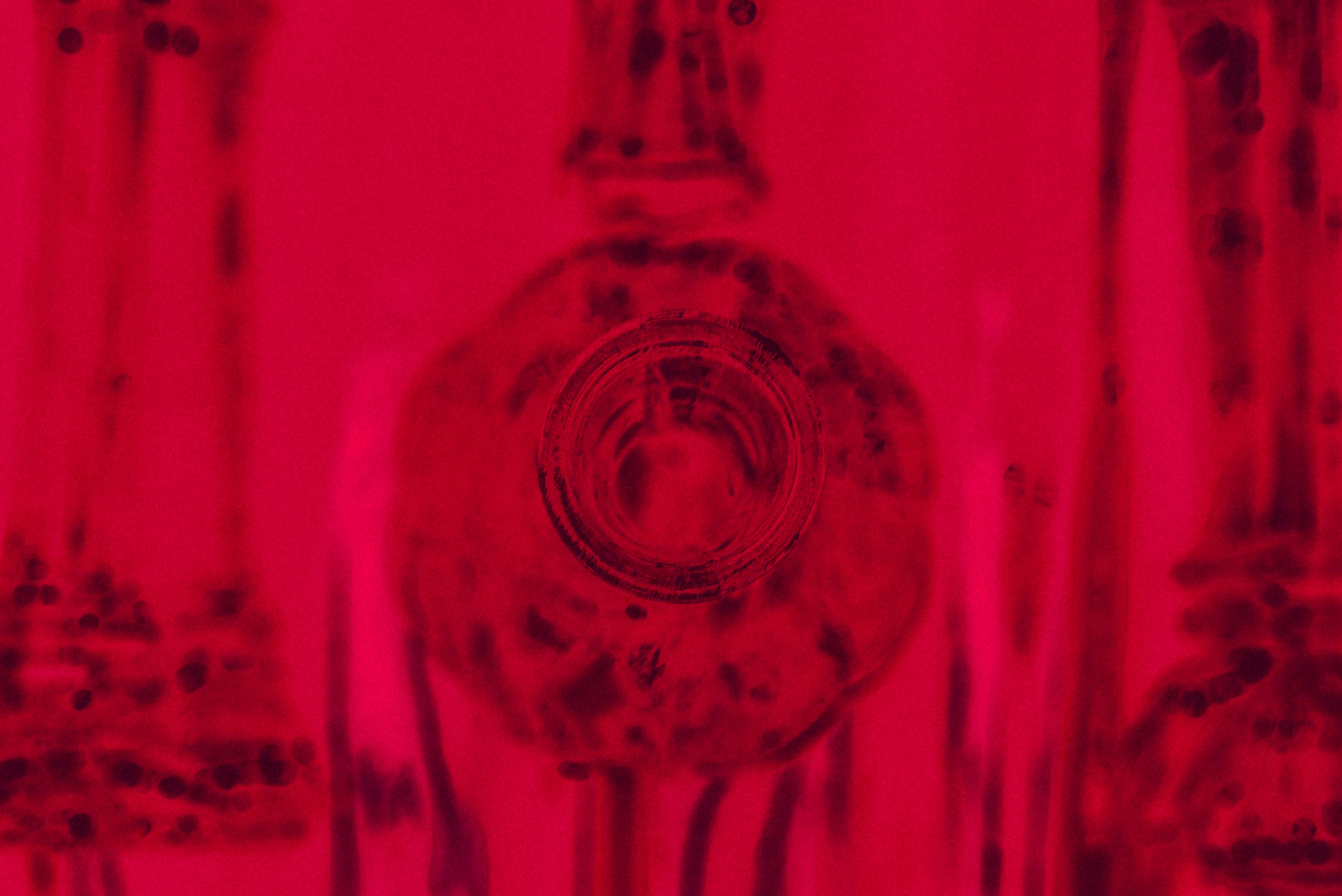 Still life. Ekaterina Tsurkina-Appina Photography Canada