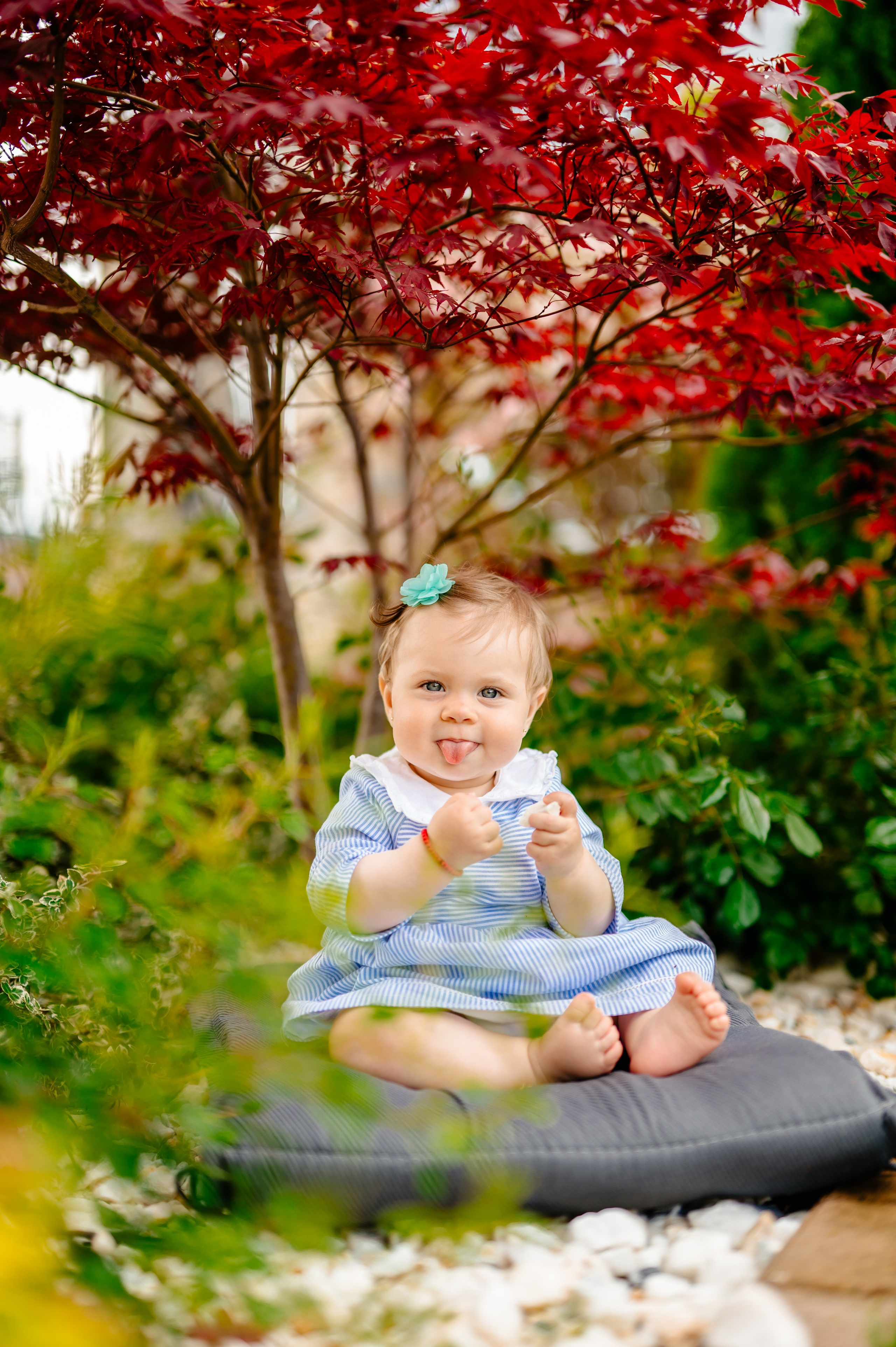 Album Portret. Fotografie & Videografie evenimente - Suceava, Romania