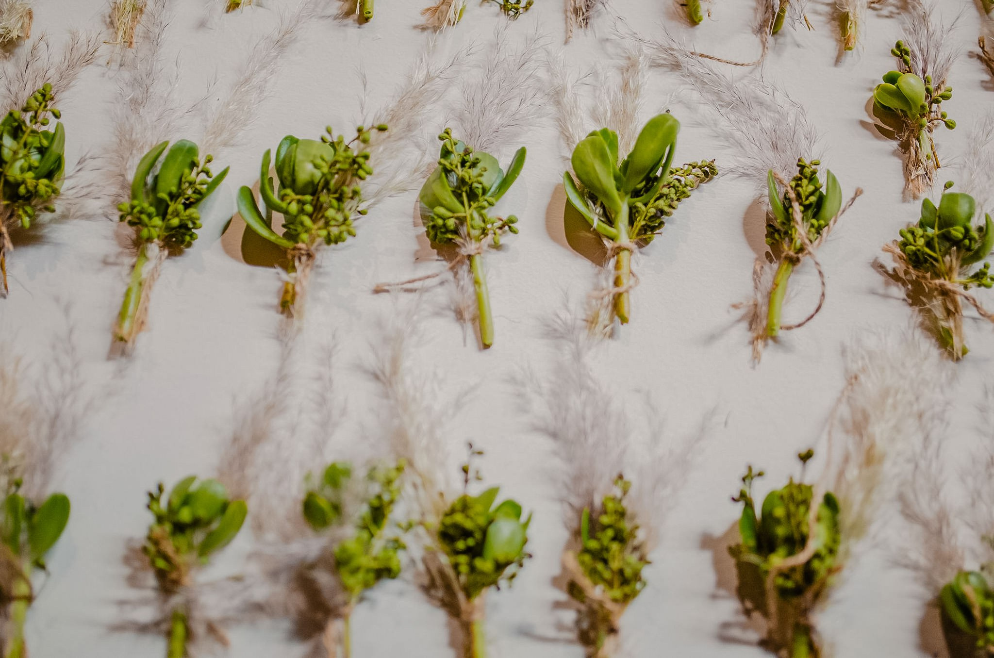 Dany & Ivan. Wedding and family photographer in Mexico City