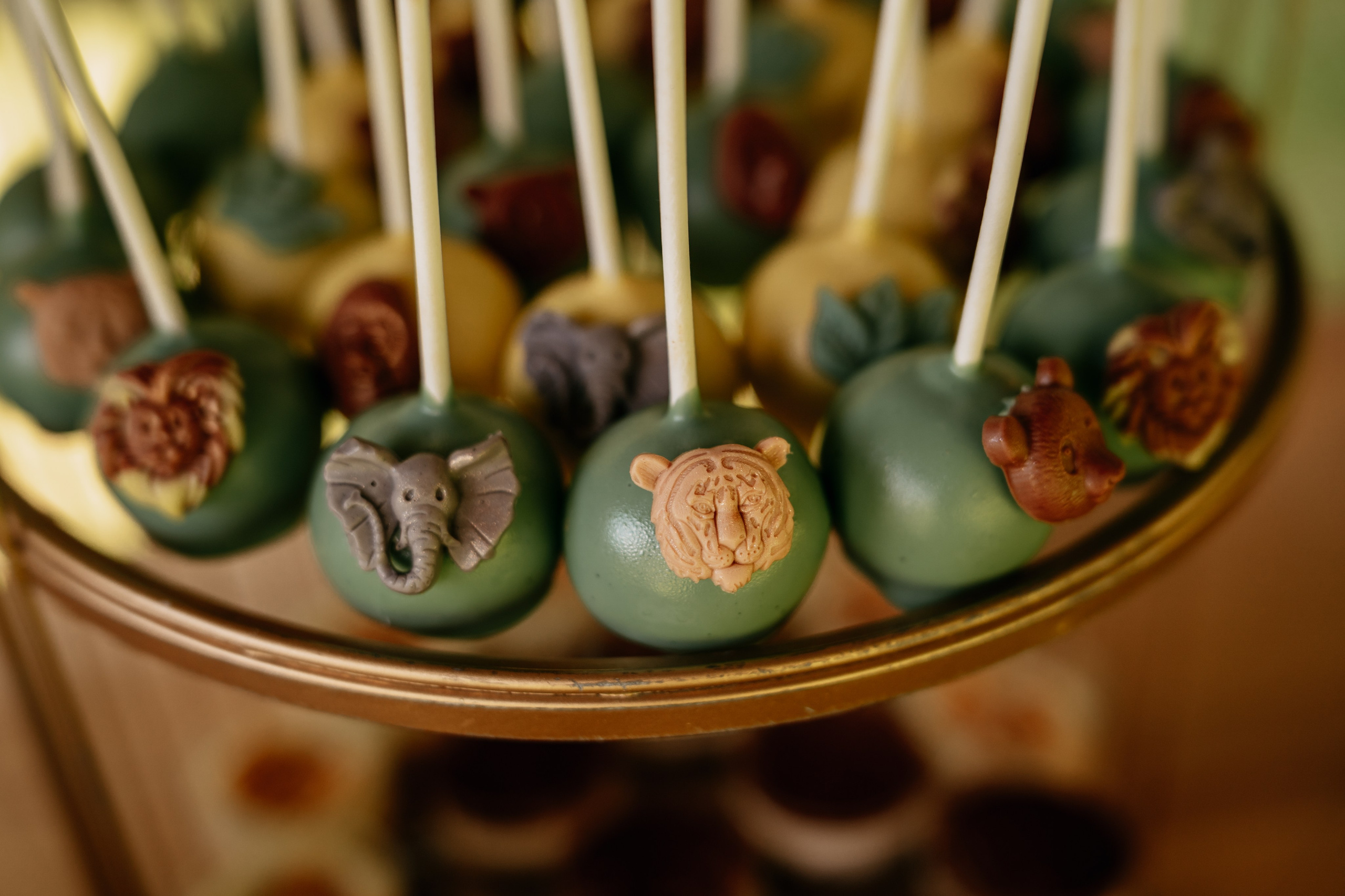 Amos' s 1st Birthday. Fotograf Nunta Iasi - Hearts & Pictures