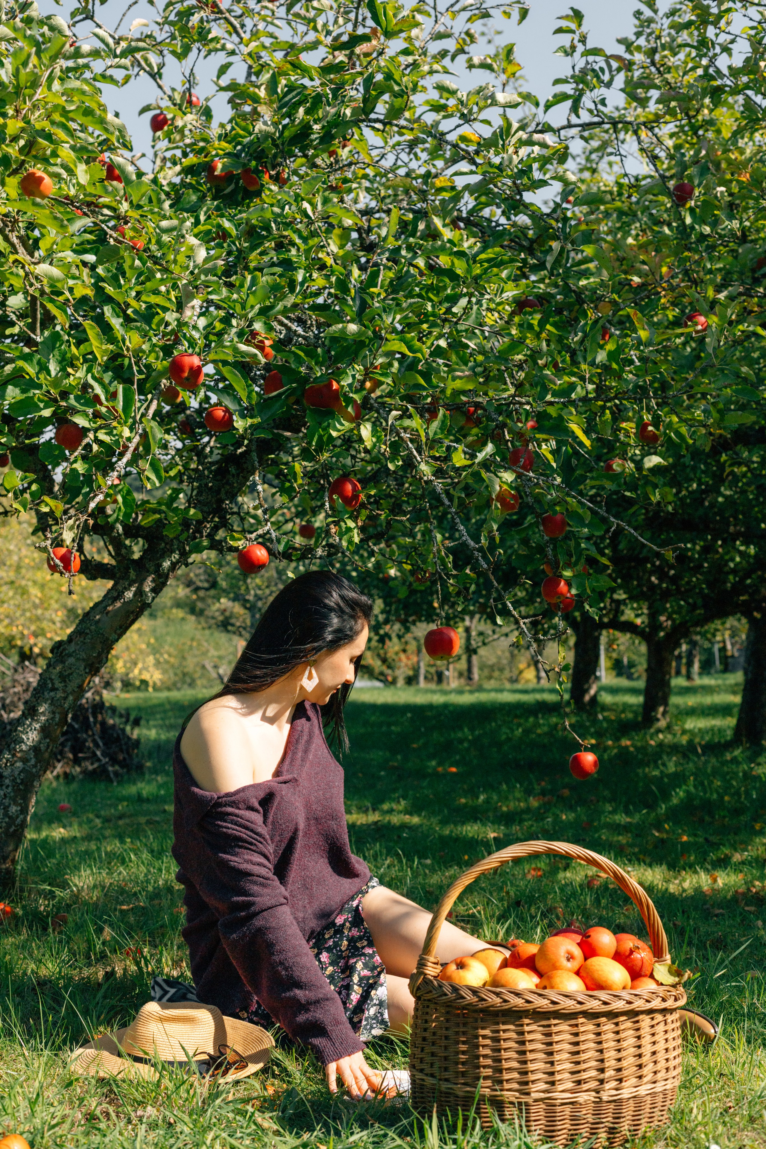 In Garten. PHOTOgrapher Germany MARBURG