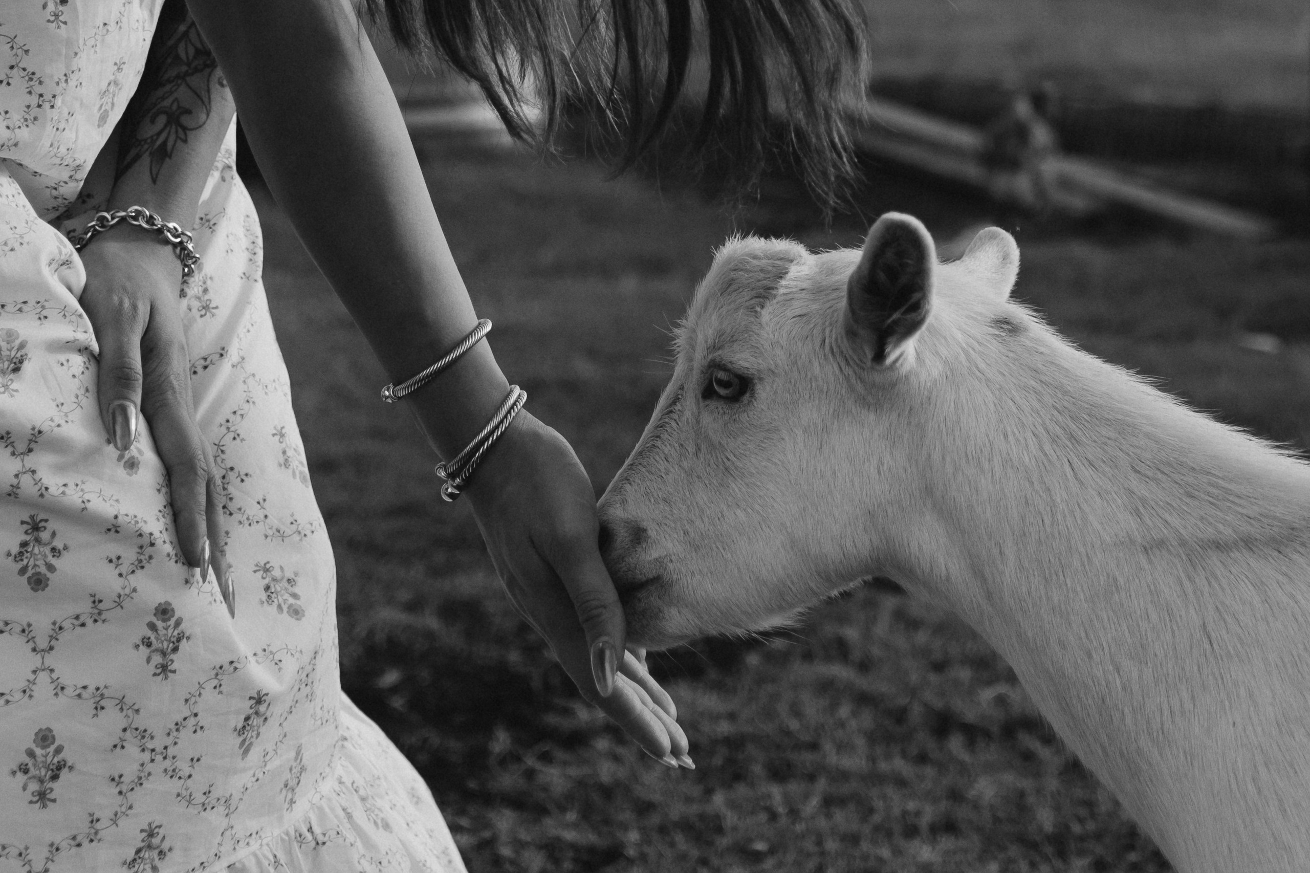 Summer Moments. Lens Captures Life