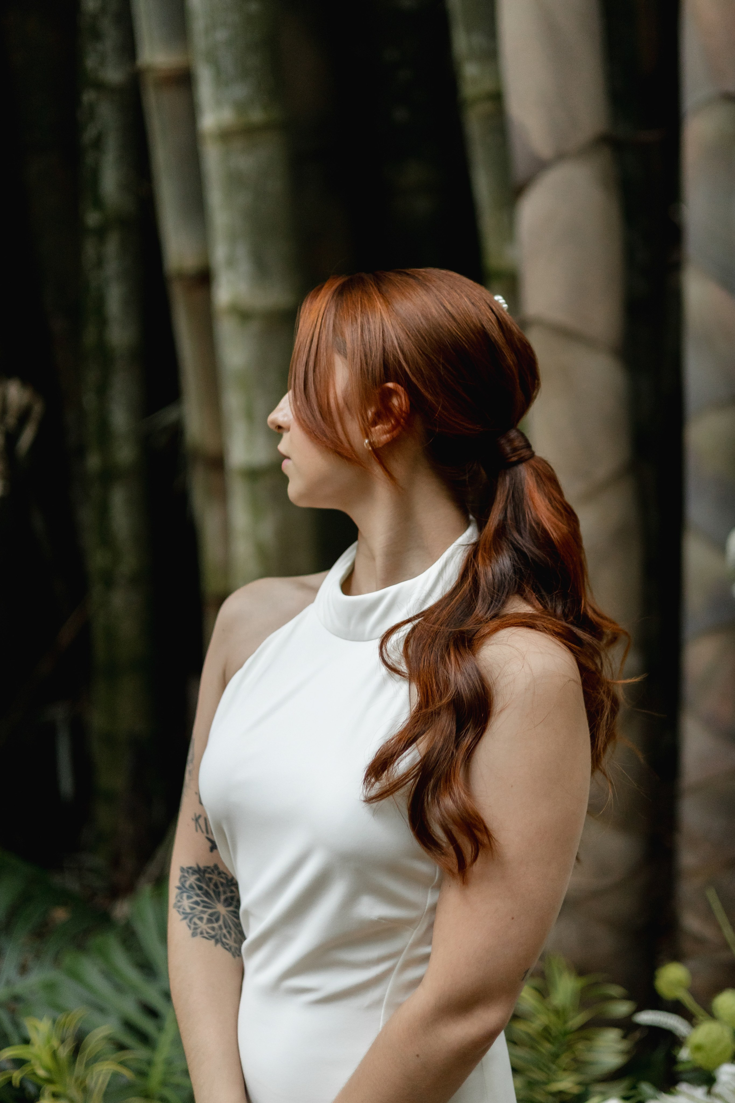 Editorial Dom Brunello