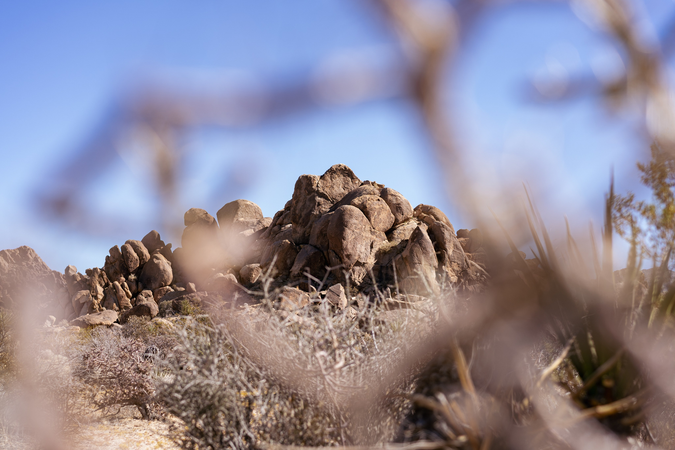 Amérique. Photographe à Genève - Eugenia Andres