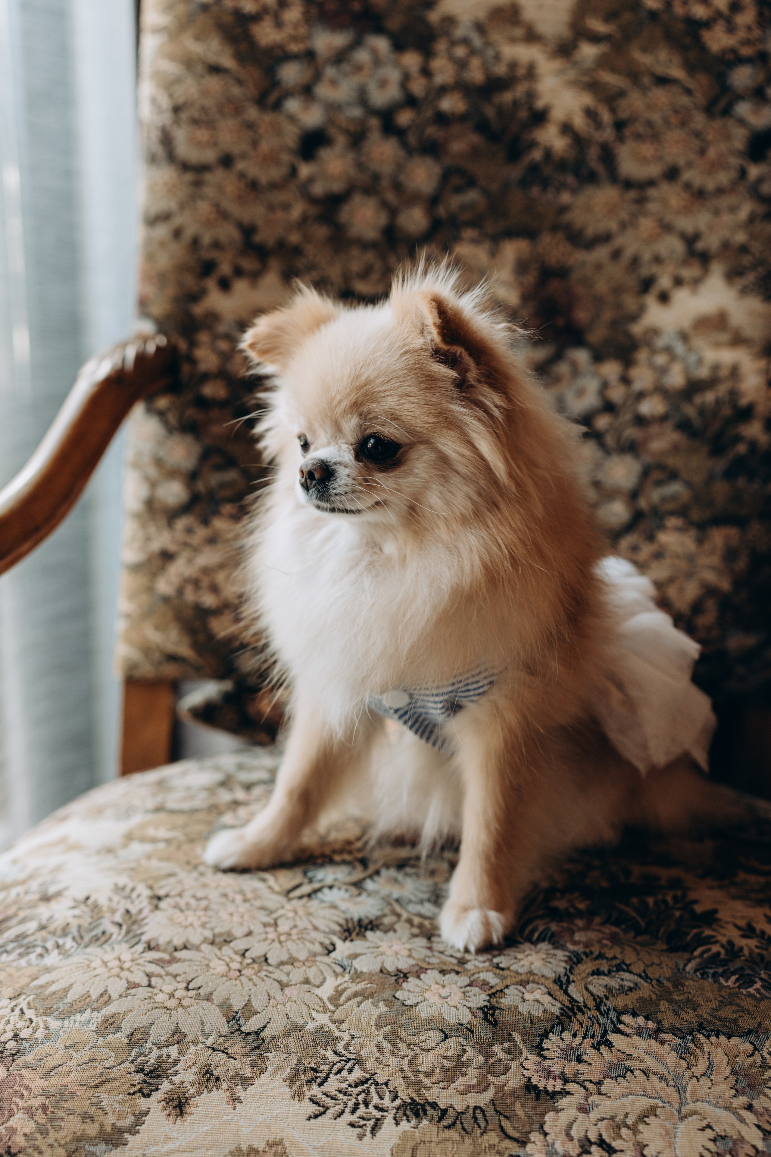 R&F. Photographer Netherlands