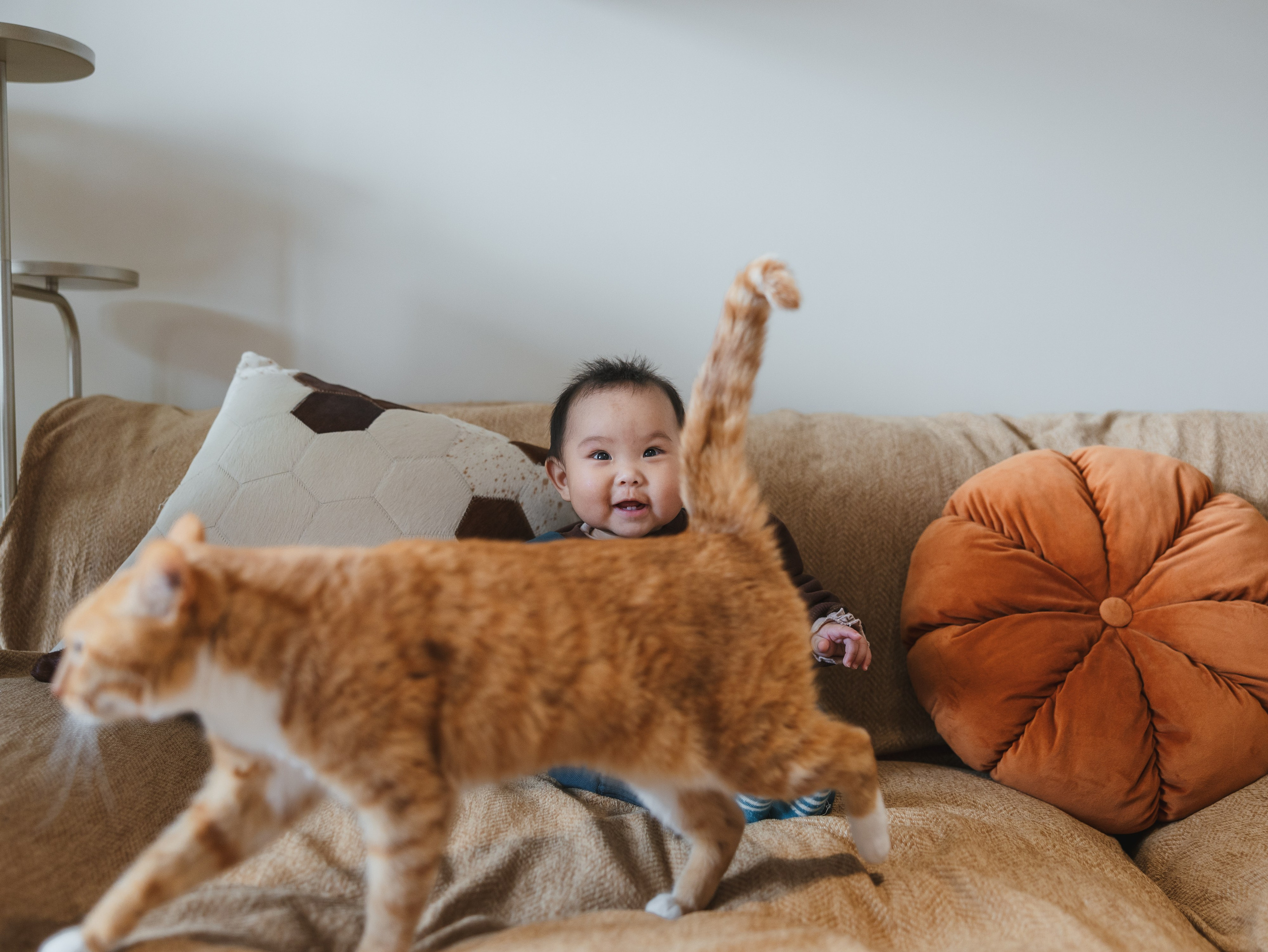 Photos of pets. Shanghai Family Photographer Dora