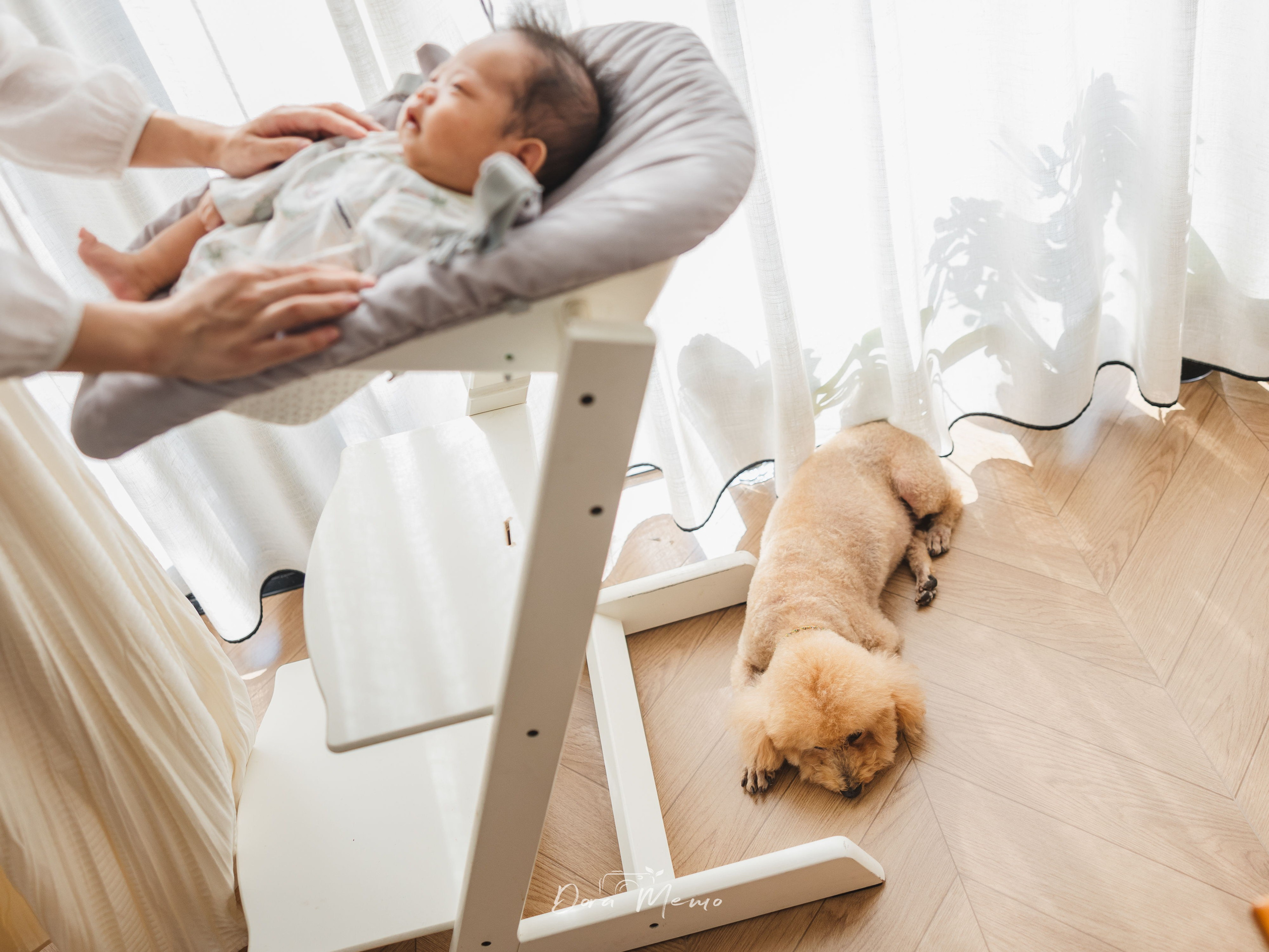One Month Old, Growing Gently in the Light | Pet-Friendly Family Photography in Shanghai |. Shanghai Family Photographer Dora