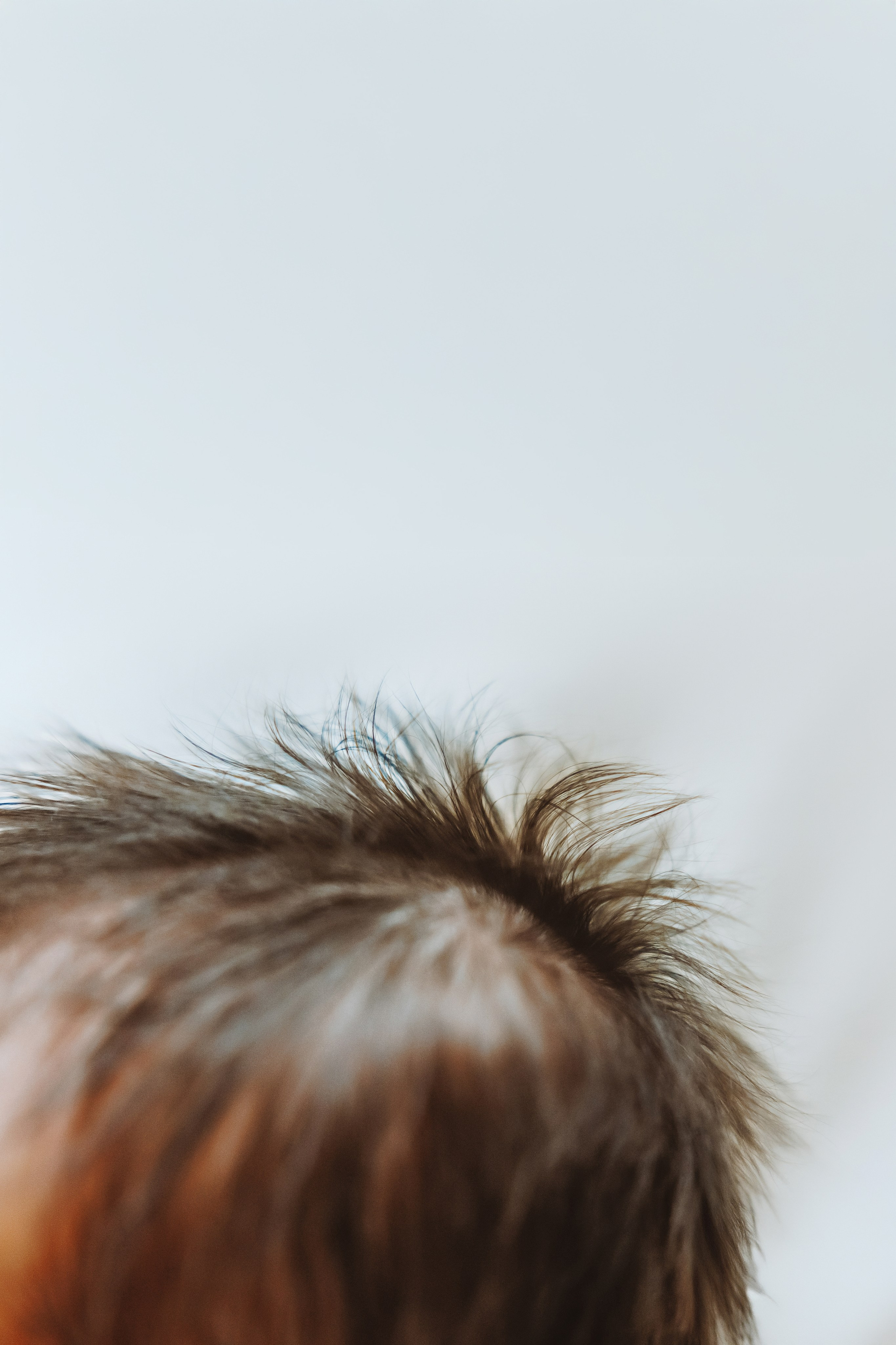 Baby Girl. Фотограф Ирина Йотова