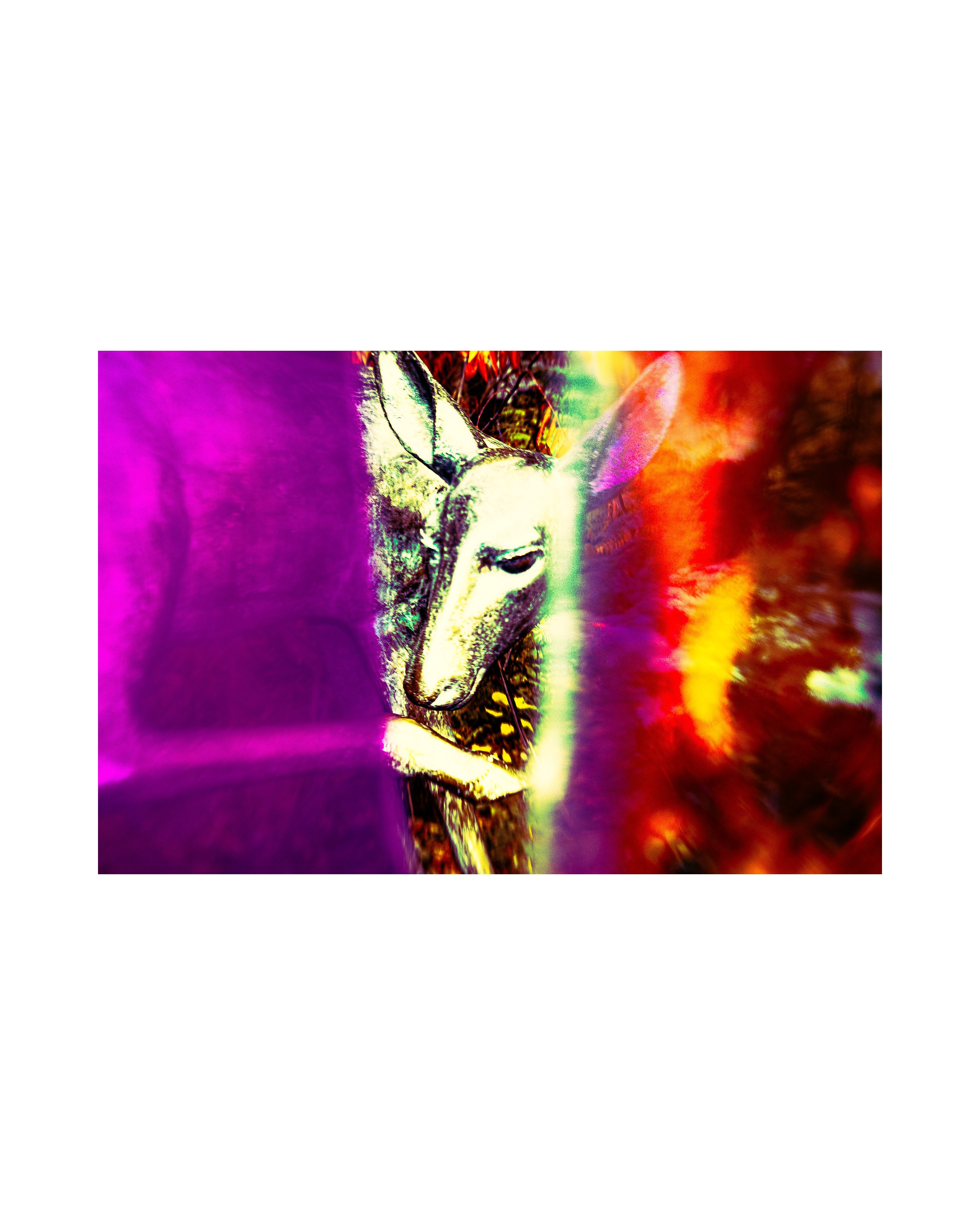 Street from Exaggerated Worlds. Ekaterina Tsurkina-Appina Photography Canada