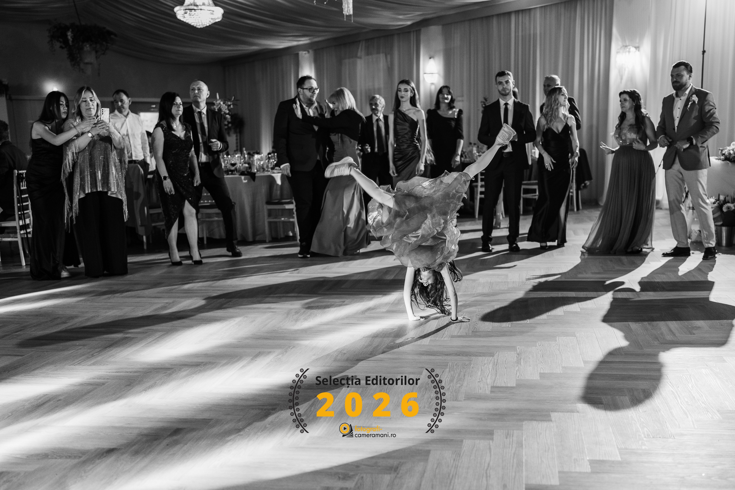 Premii și recunoașteri – Adrian Vasile Fotograf