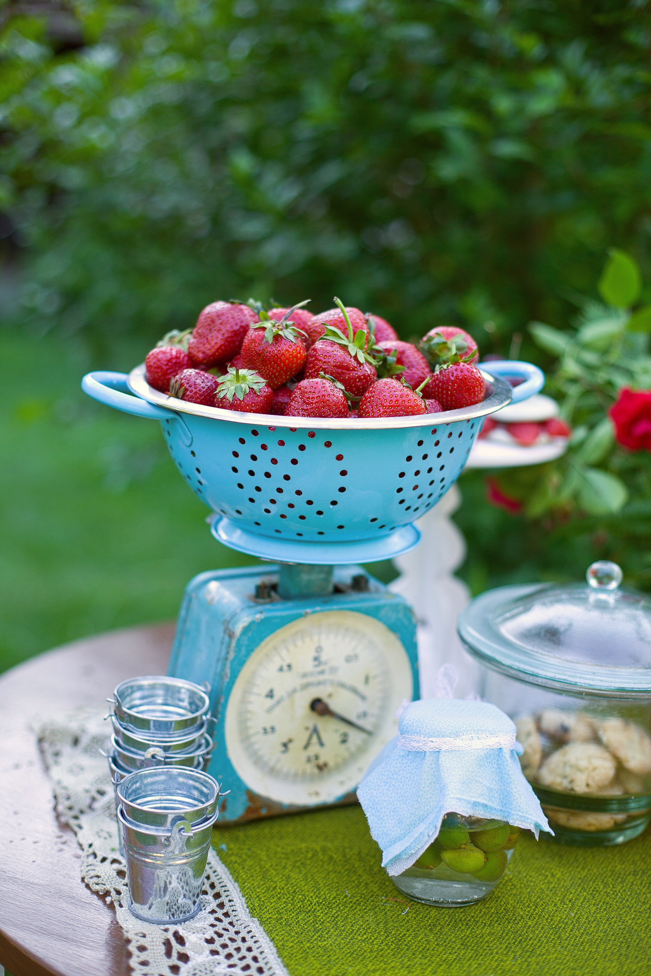 LIFESTYLE. ENYA RODAK PHOTOGRAPHY