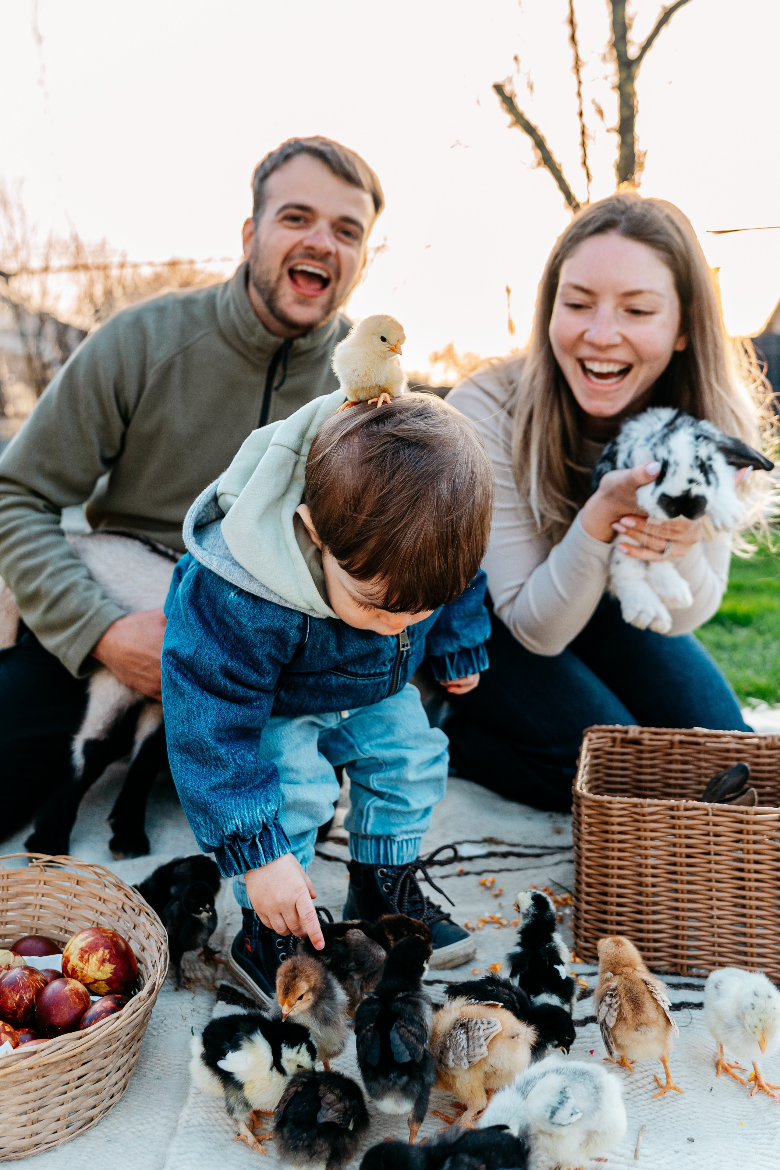 EASTER. Ars Vidi | Digital Solutions