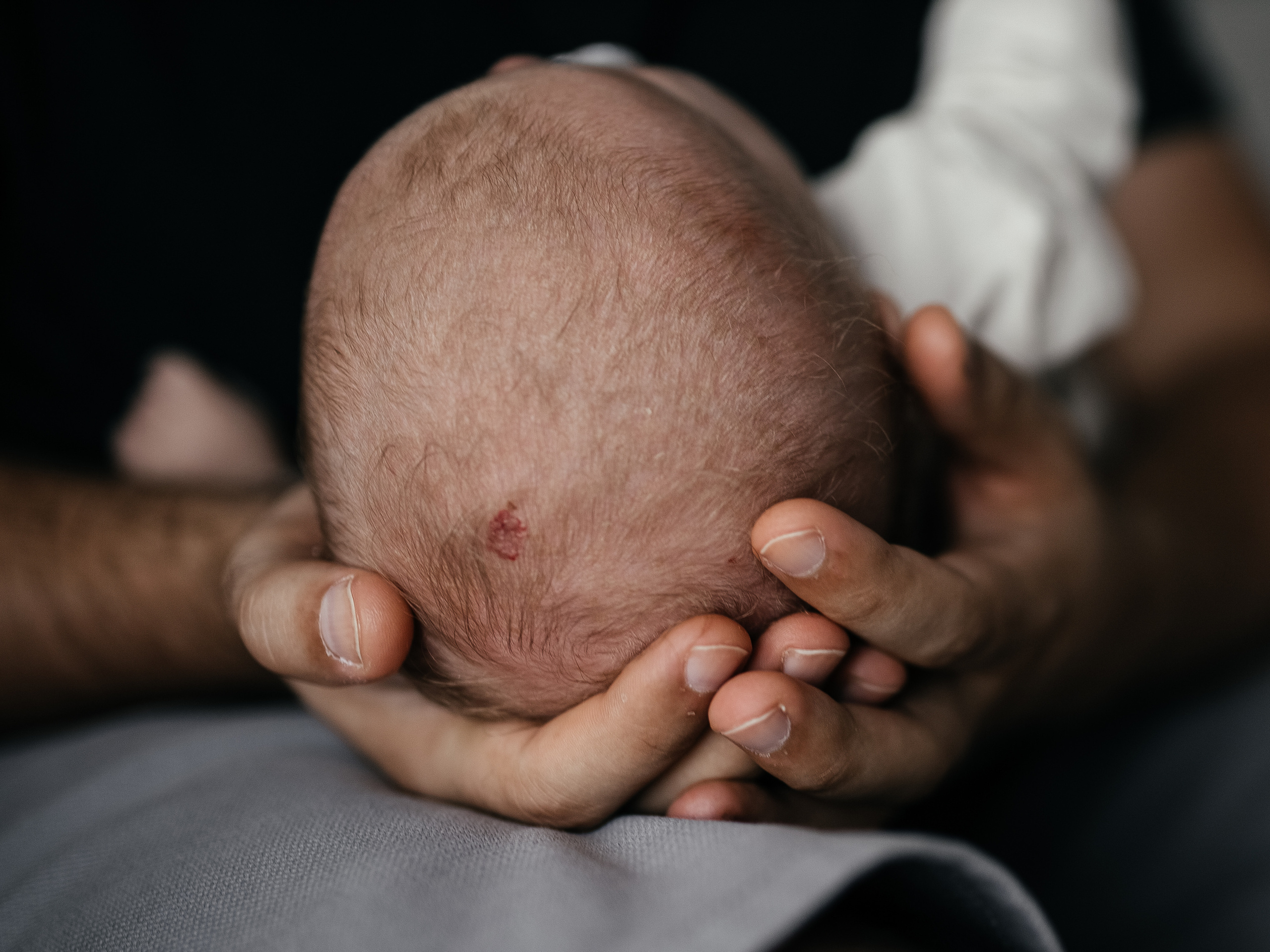 Familienfotografin. Familien-, Hochzeits- und Newbornfotografin Neustadt an der Weinstraße
