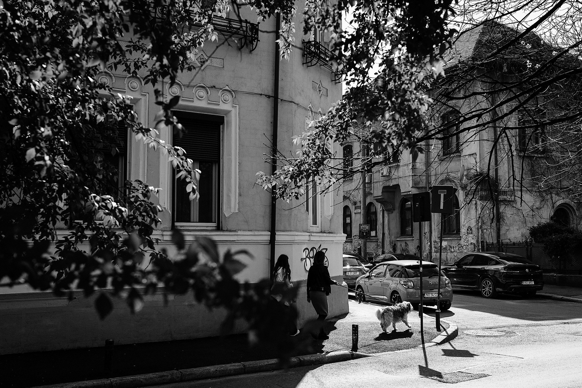 Monochrome. A Creative Insight | Catalin Nastase