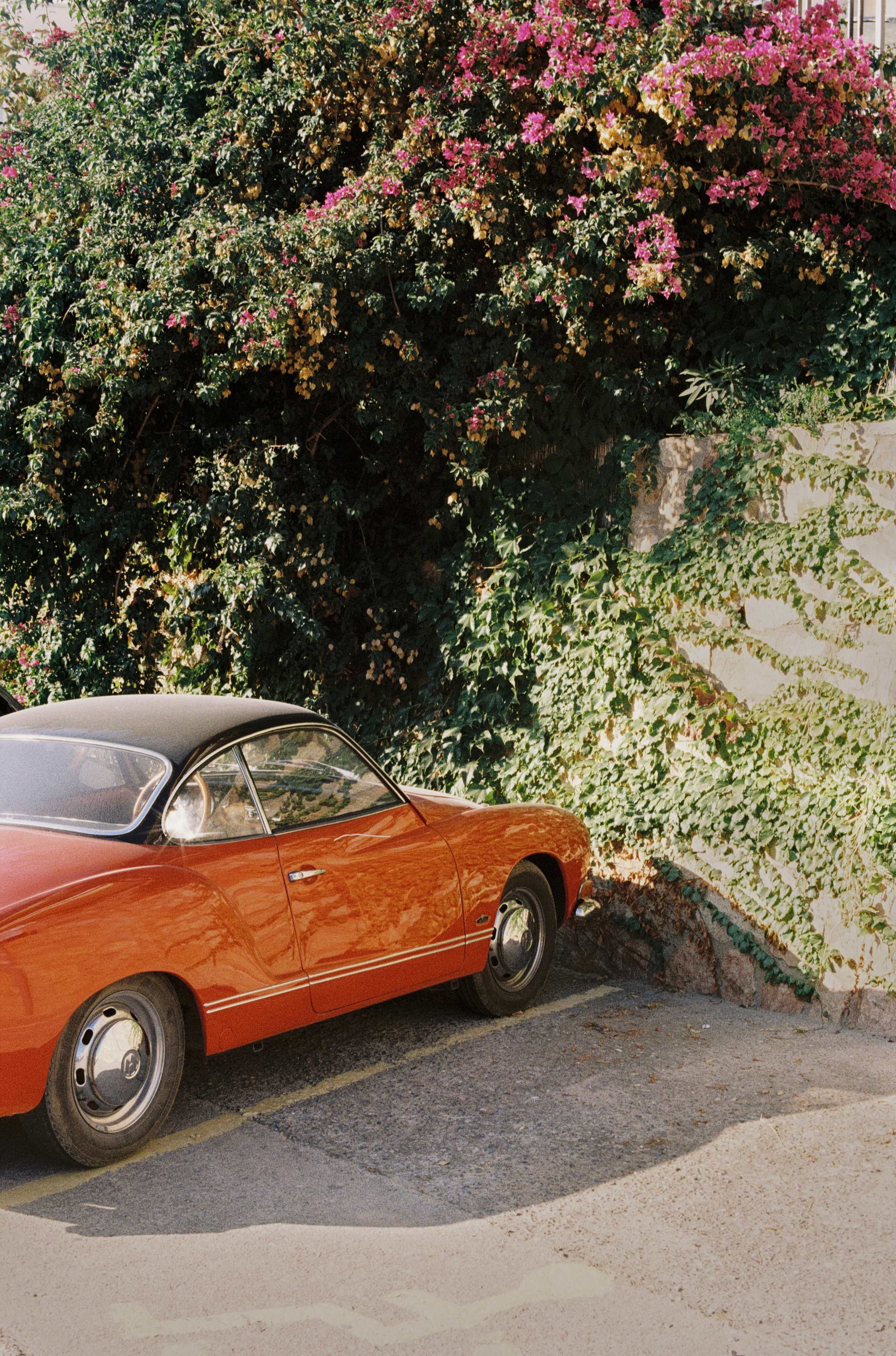 Wanderlust / Film photos. Fotografia personalna i fashion dla marek i agencji modelingowych. Warszawa, Europa. Yaroslav Storchak