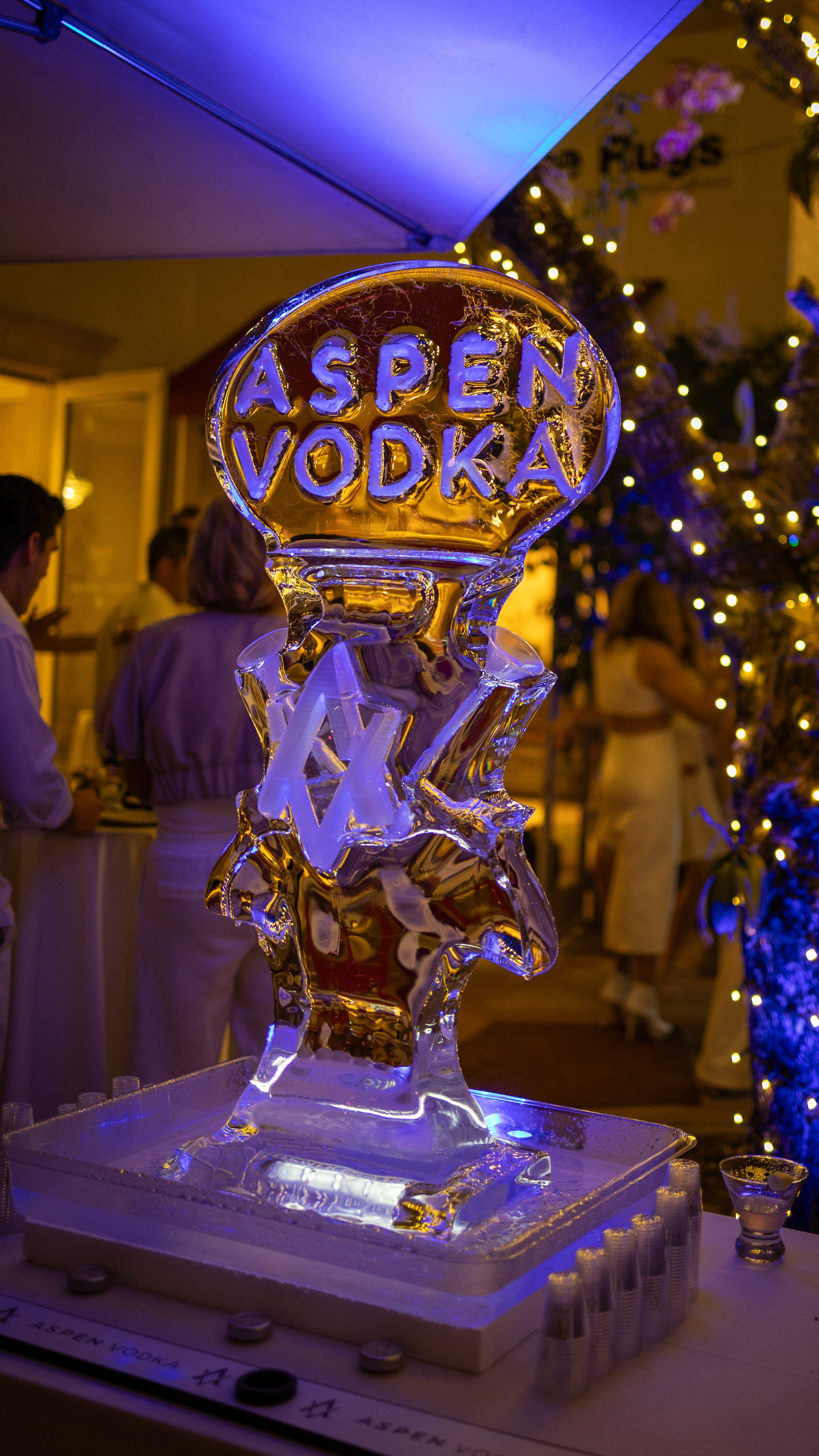 Aspen Vodka White Party at the French. Out and About 239