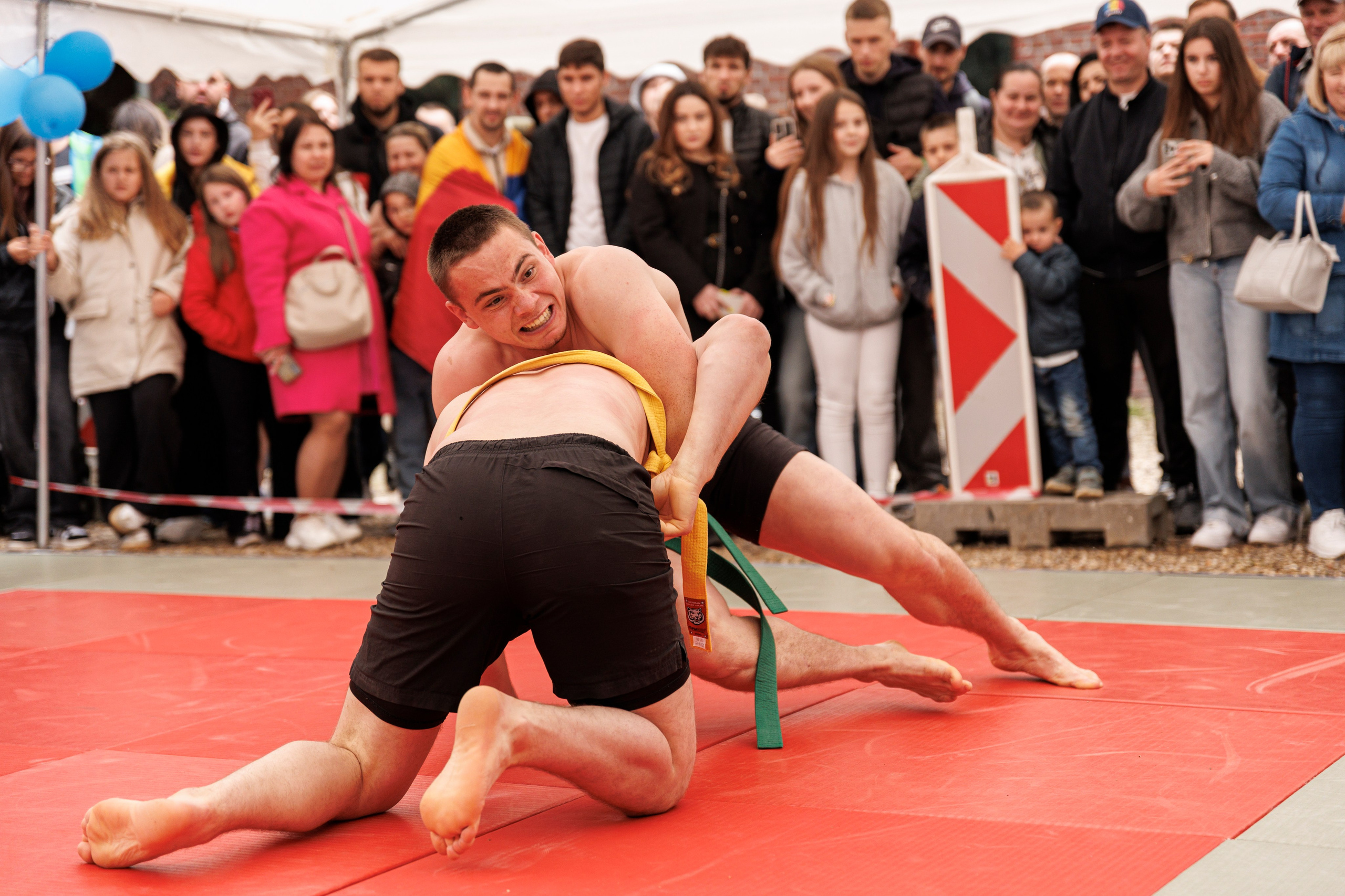 Hora Dorului 2025. Dienstleistungen