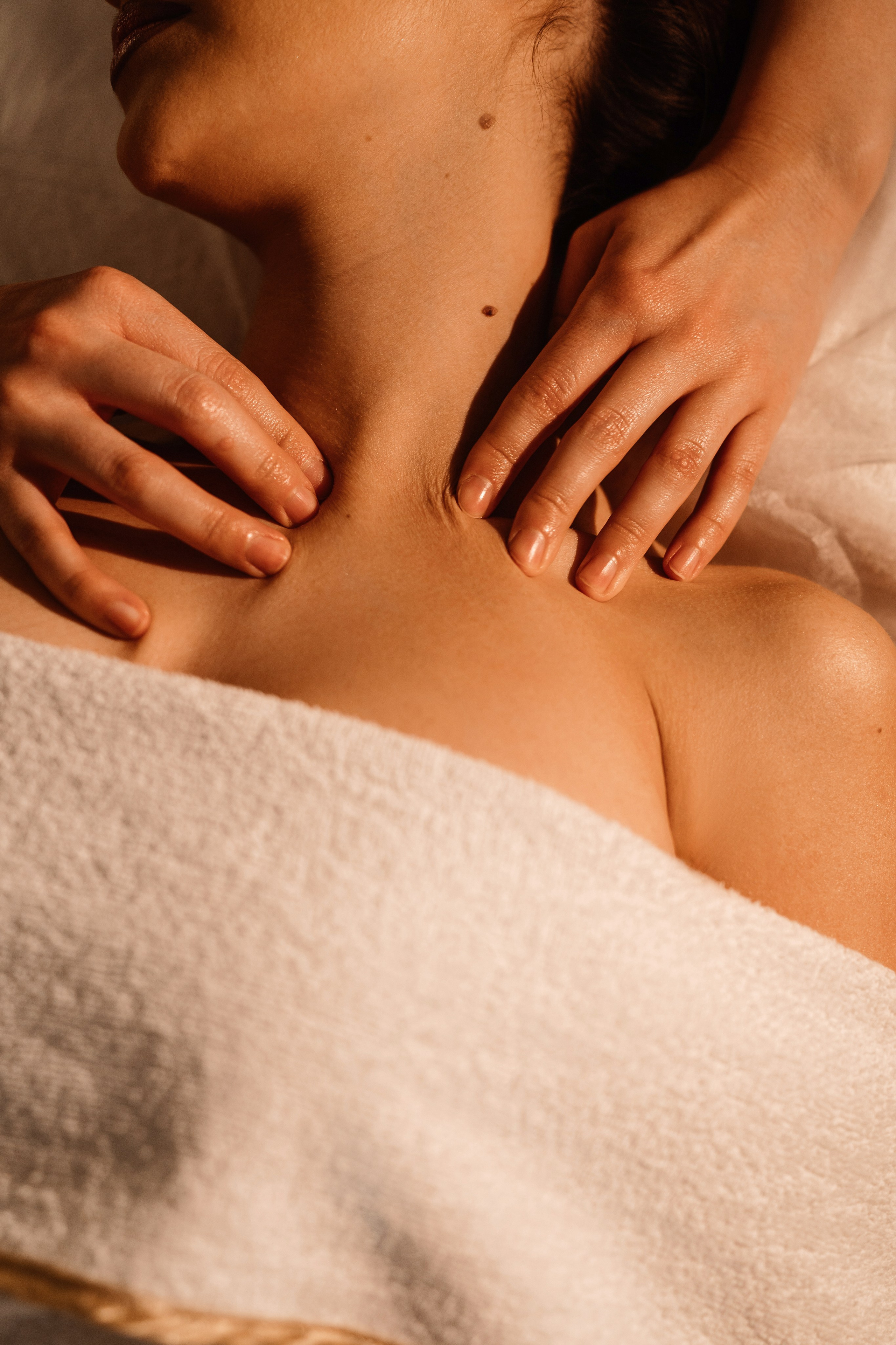 Cattleya | personal branding. Home