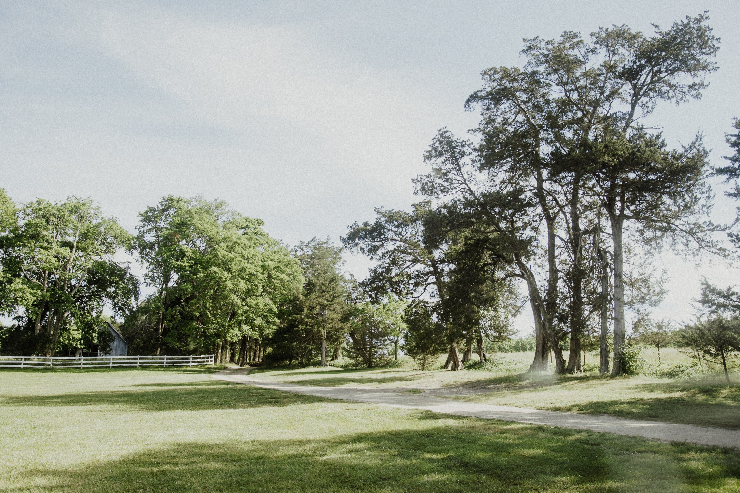 The Carpenters Maternity. Sara Eulalia | Virginia Photographer