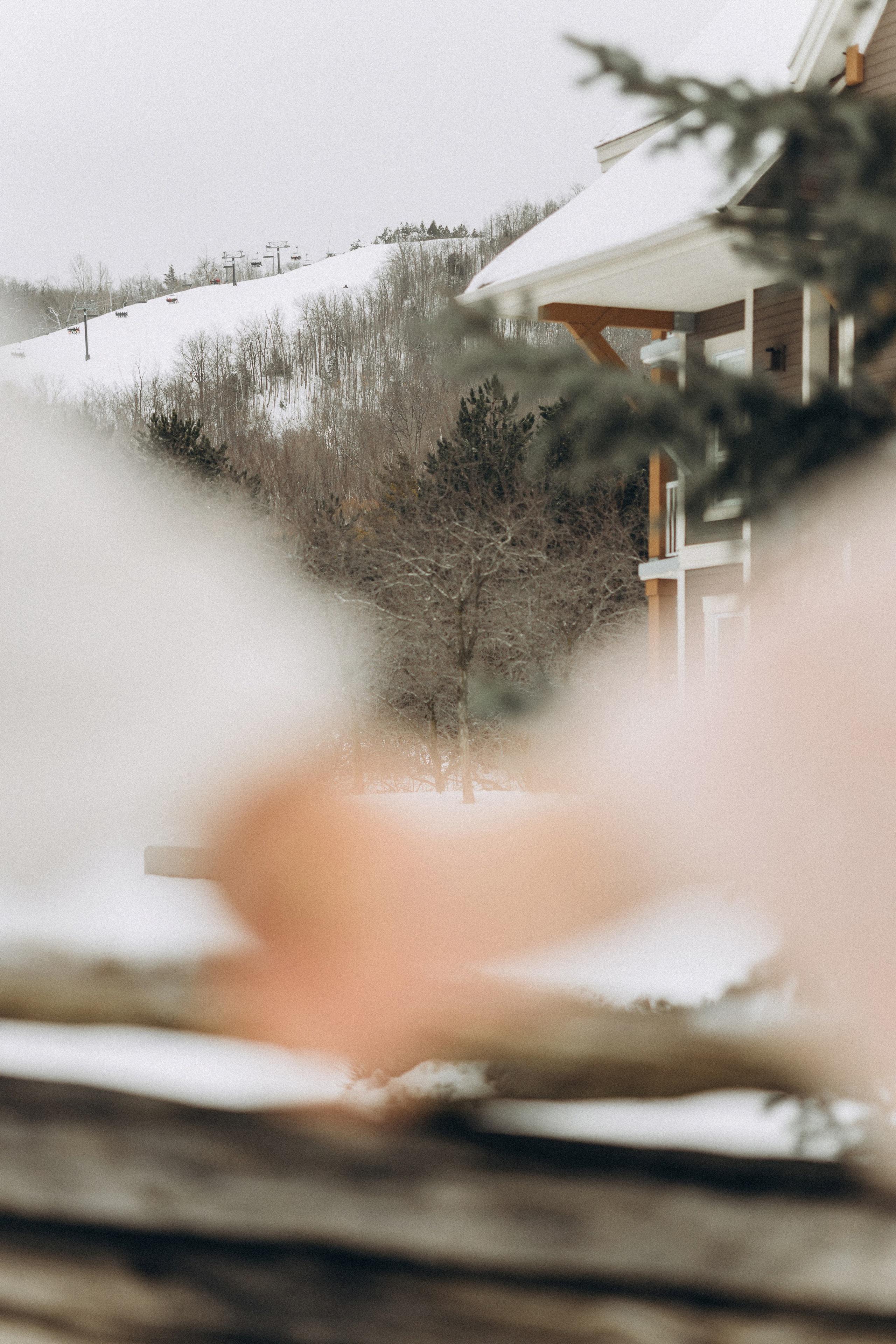 Marianna & Alex. Chernenko.photography