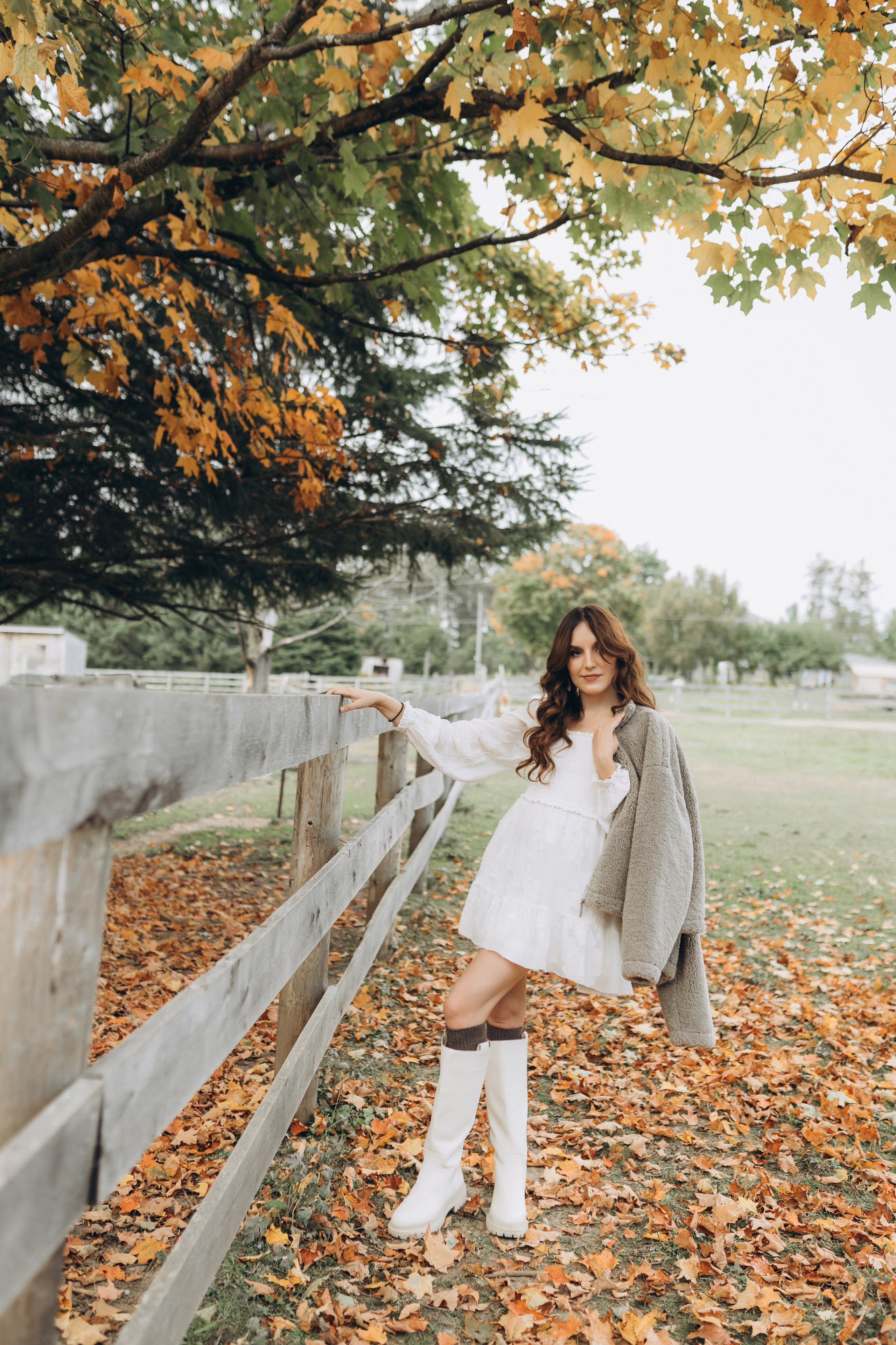 Alpacas Farm. Chernenko.photography