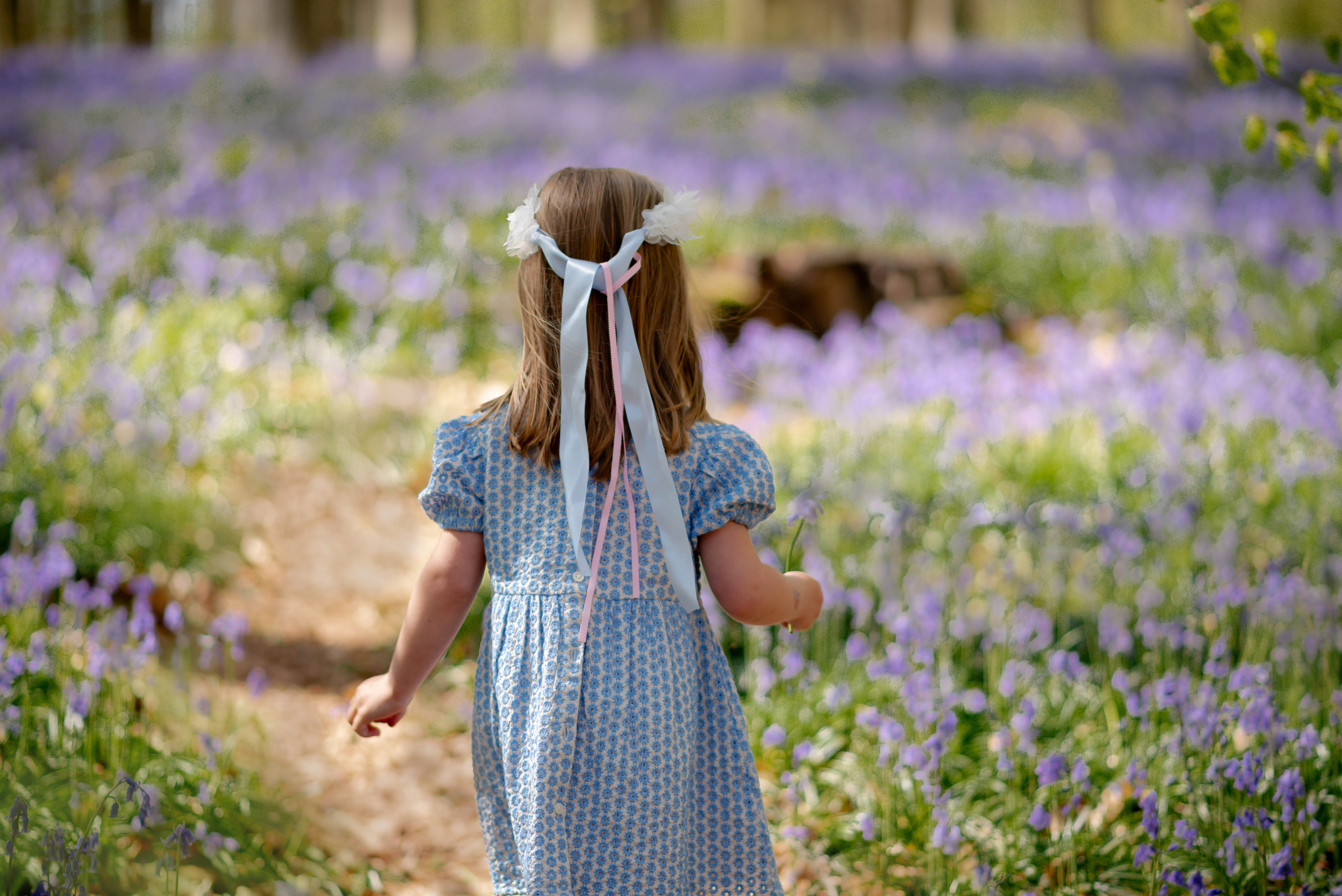 Children Photoshoot. Professional Photograher, Antwerpen/Belgium