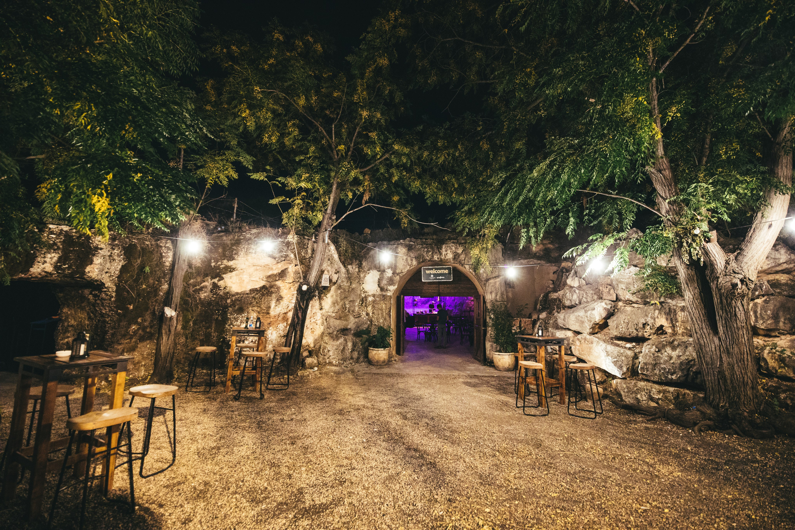 זרעי גדרה — SYNGENTA. AMIR BUCHNIK PHOTOGRAPHER