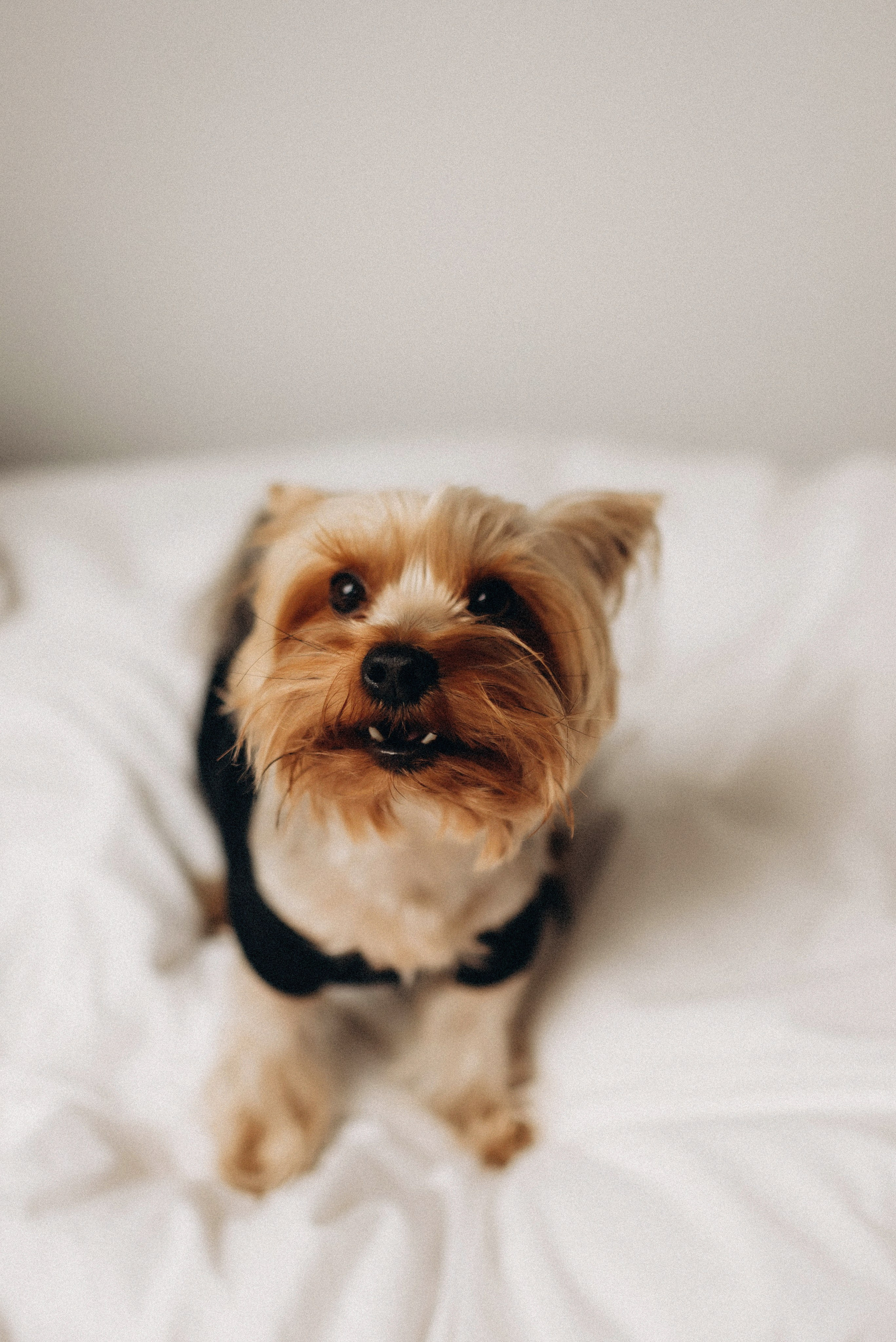 Домашняя фотосессия мама и ребенок. Семейный фотограф Лейпциг, Германия