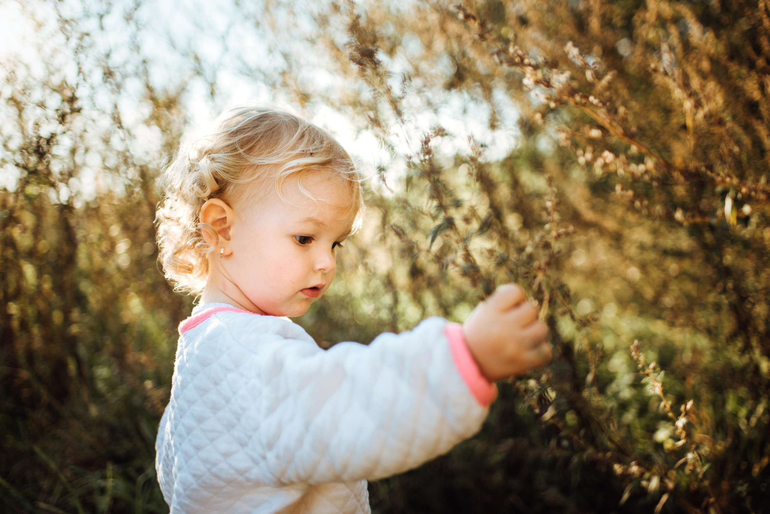 Ivet, Roman, Emi. Lifestyle, wedding and family photographer