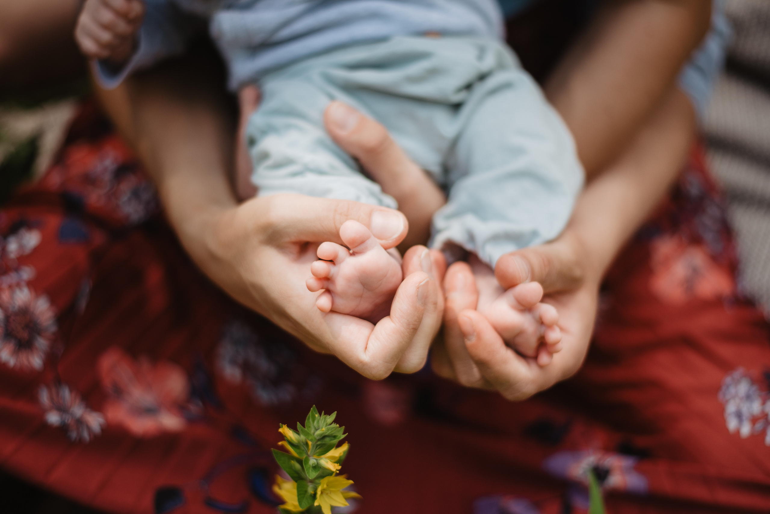 Family photography in park. Lifestyle, wedding and family photographer