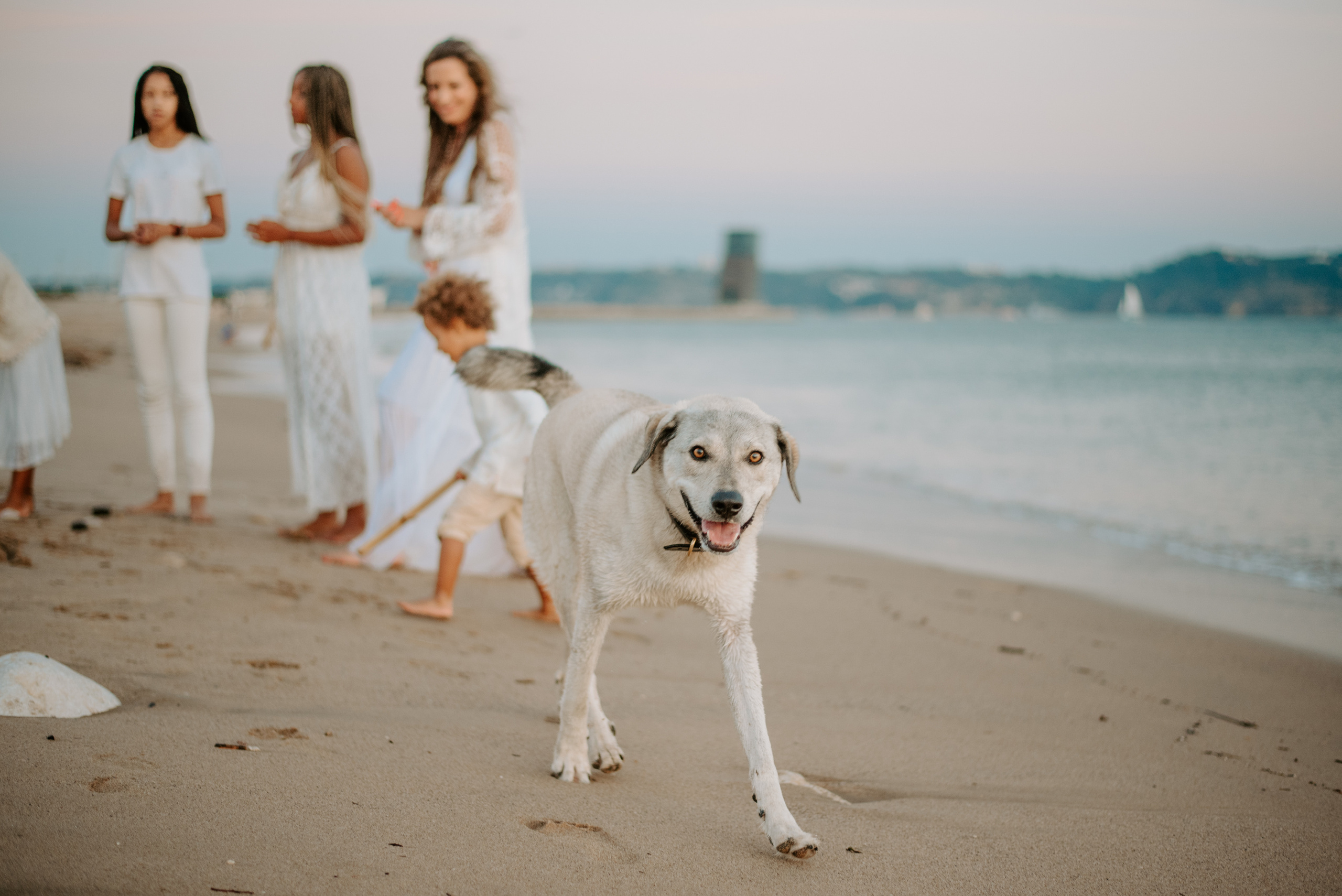 Family photographer based in Lisbon. Lifestyle, wedding and family photographer