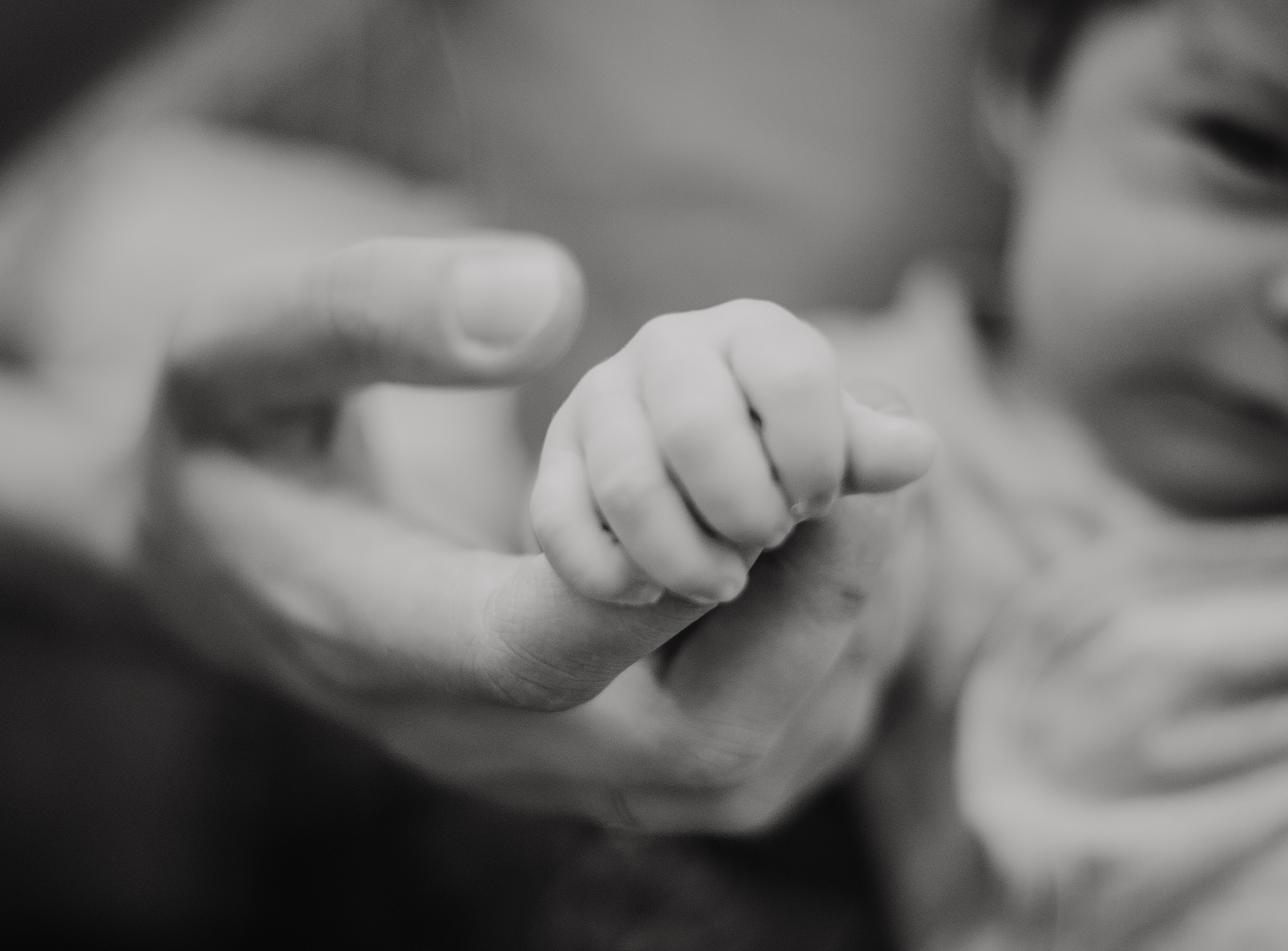 Family photography in park. Lifestyle, wedding and family photographer