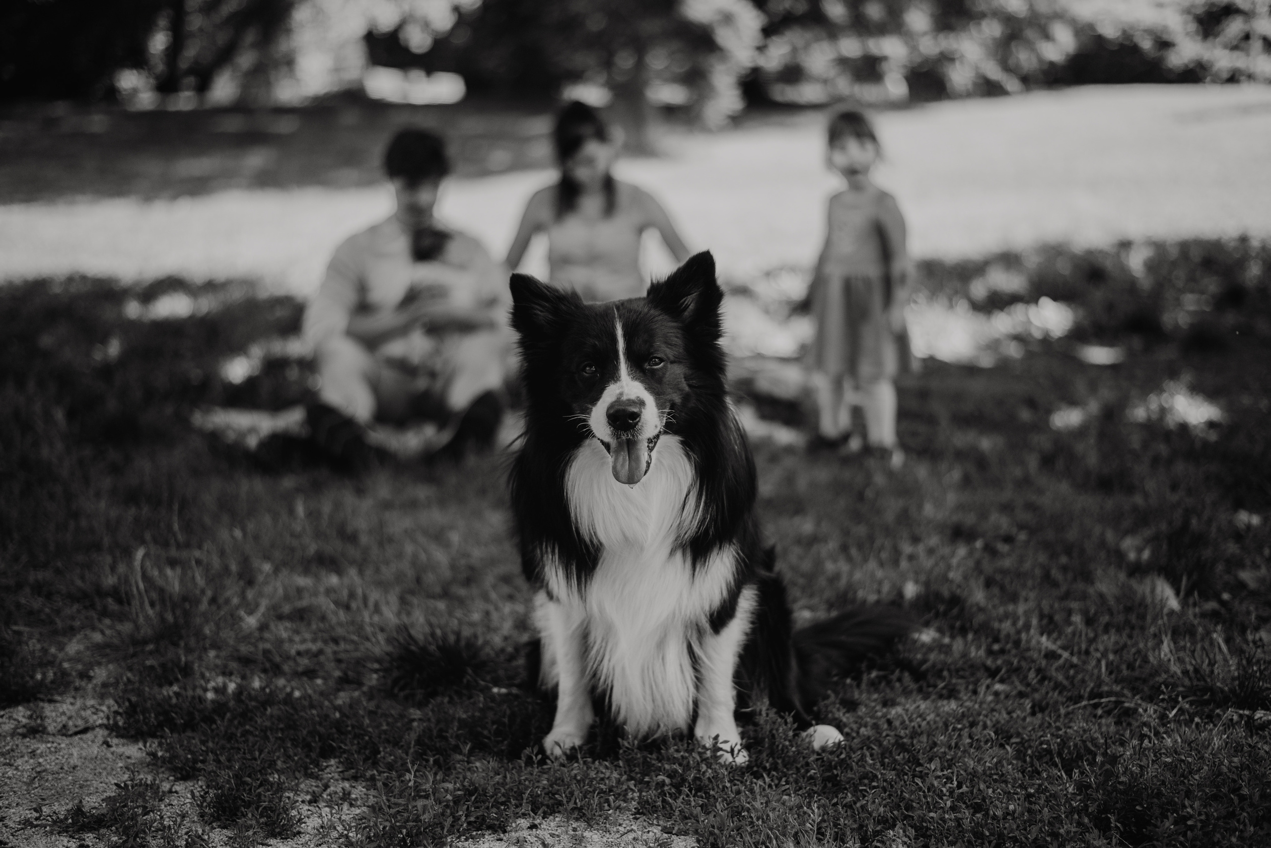 Family photography in park. Lifestyle, wedding and family photographer