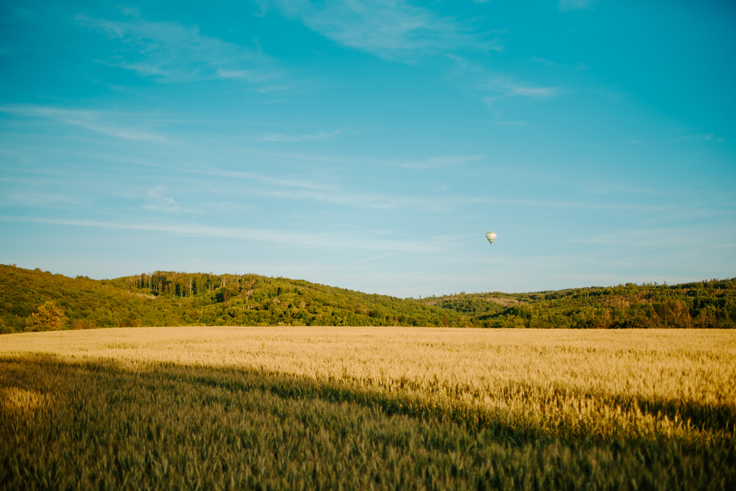Wedding in the hot air balloon. Lifestyle, wedding and family photographer
